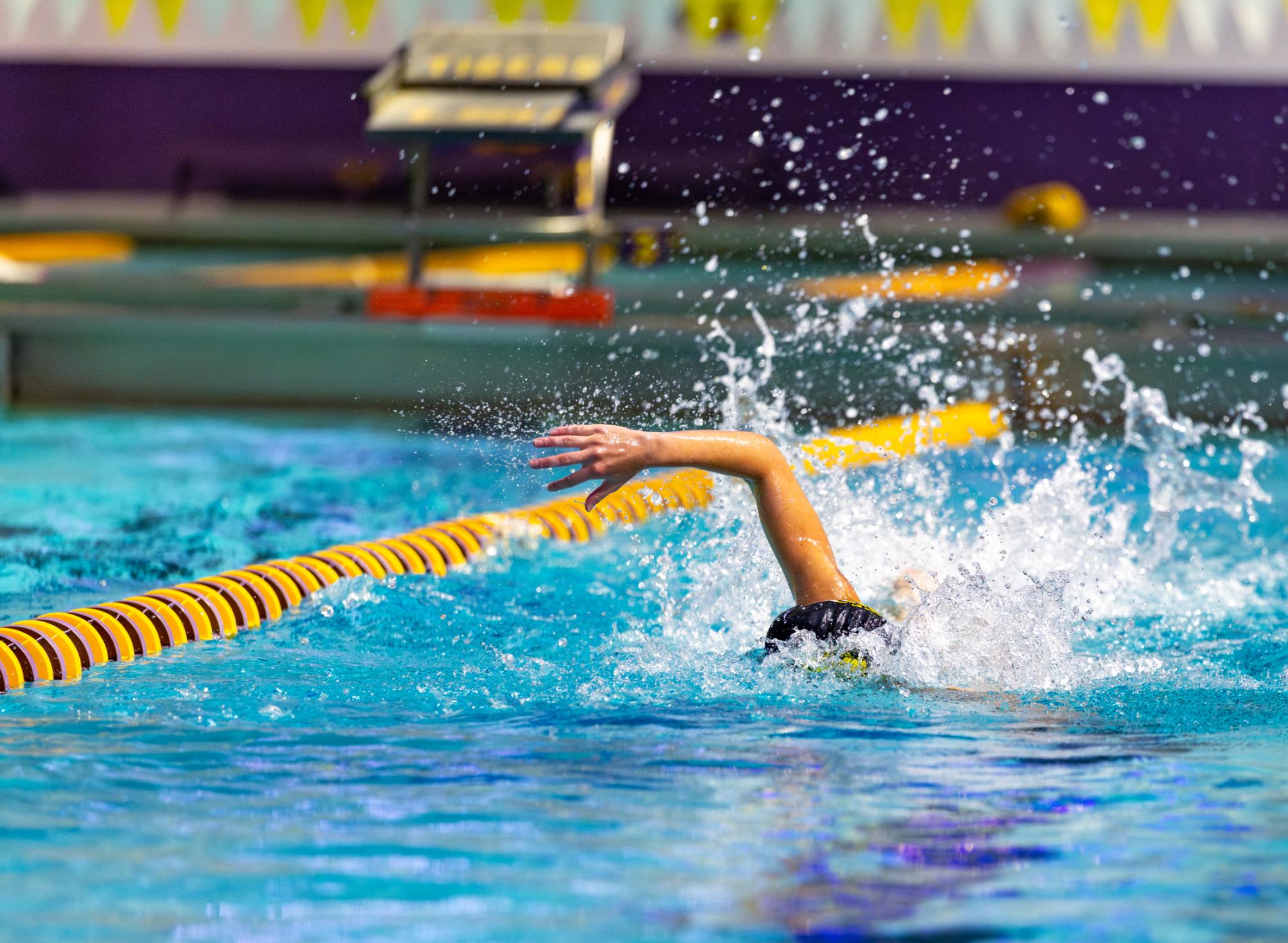 PHOTOS: LSU Swim and Dive starts season with Purple and Gold Intrasquad