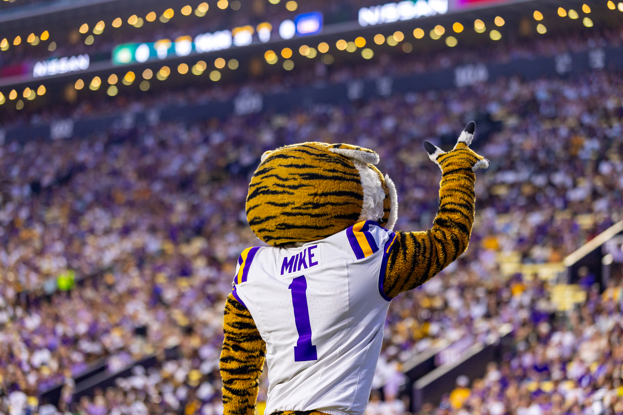 PHOTOS: LSU football defeats Southeastern at Family Weekend