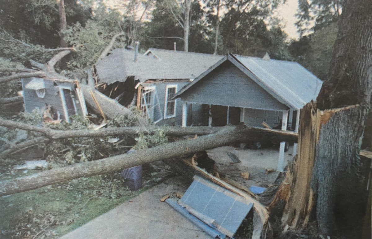 A home in the Southdowns neighborhood is demolished by a fallen tree during Hurricane Katrina.