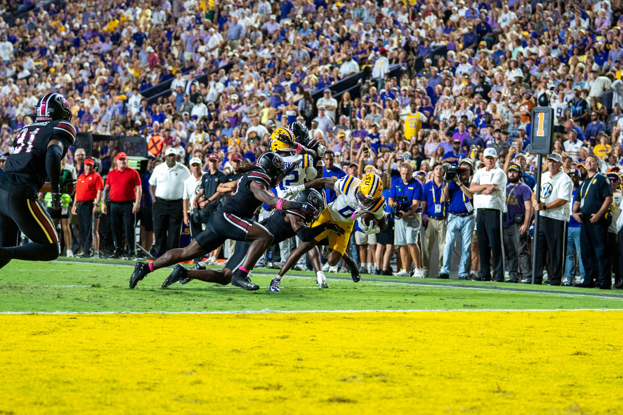 PHOTOS: LSU defeats South Carolina in Homecoming game