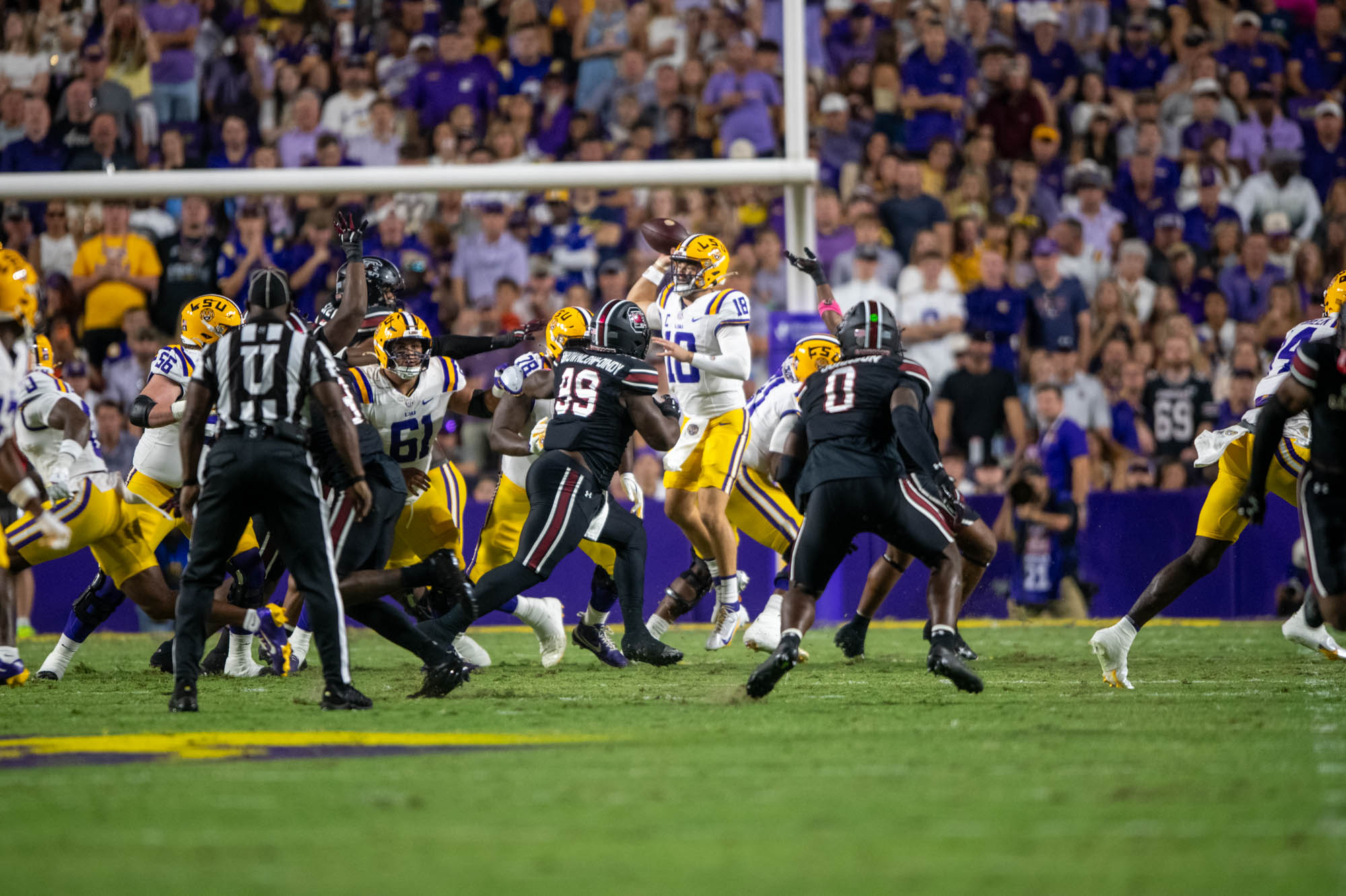 PHOTOS: LSU defeats South Carolina in Homecoming game