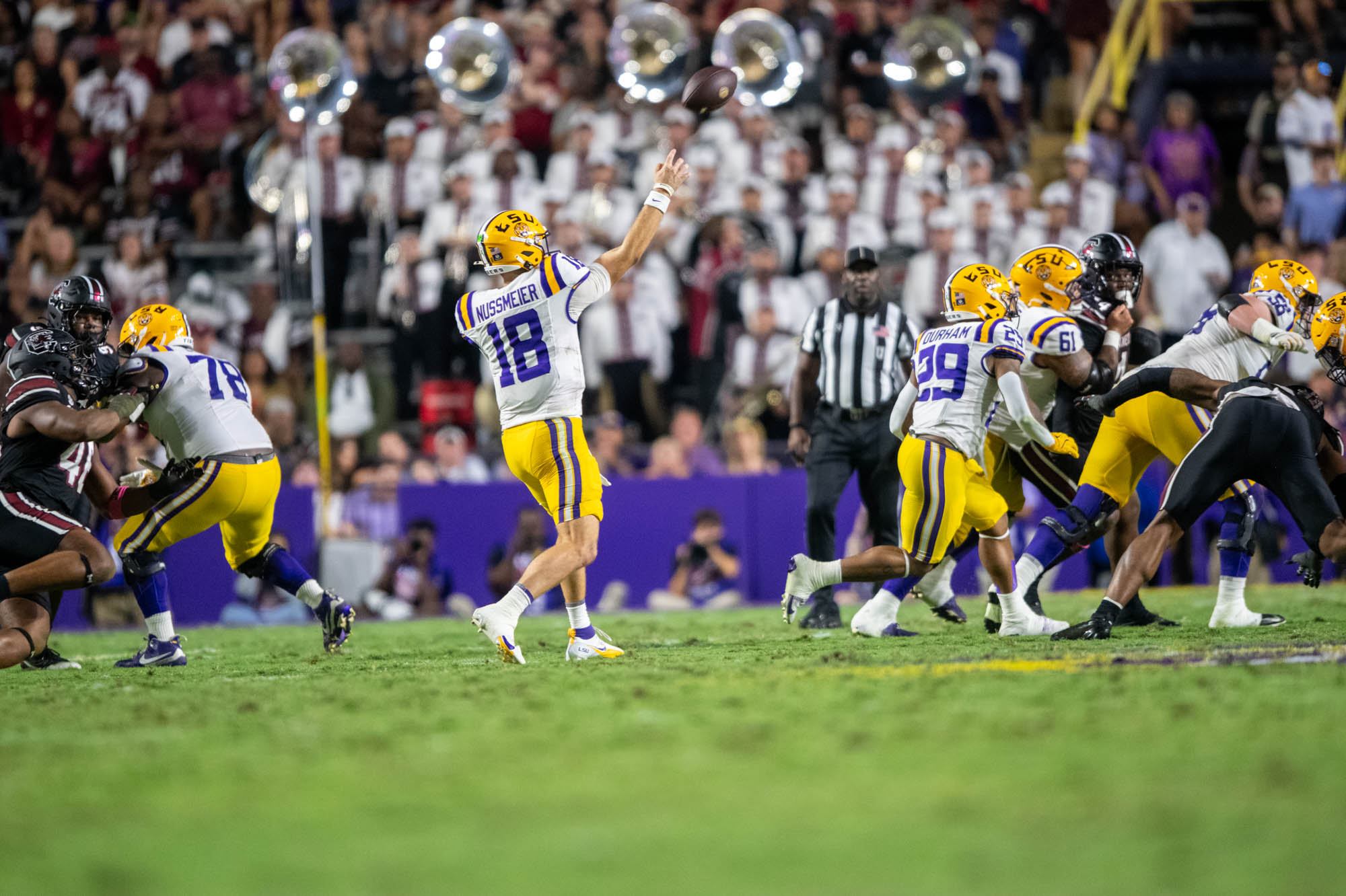 PHOTOS: LSU defeats South Carolina in Homecoming game
