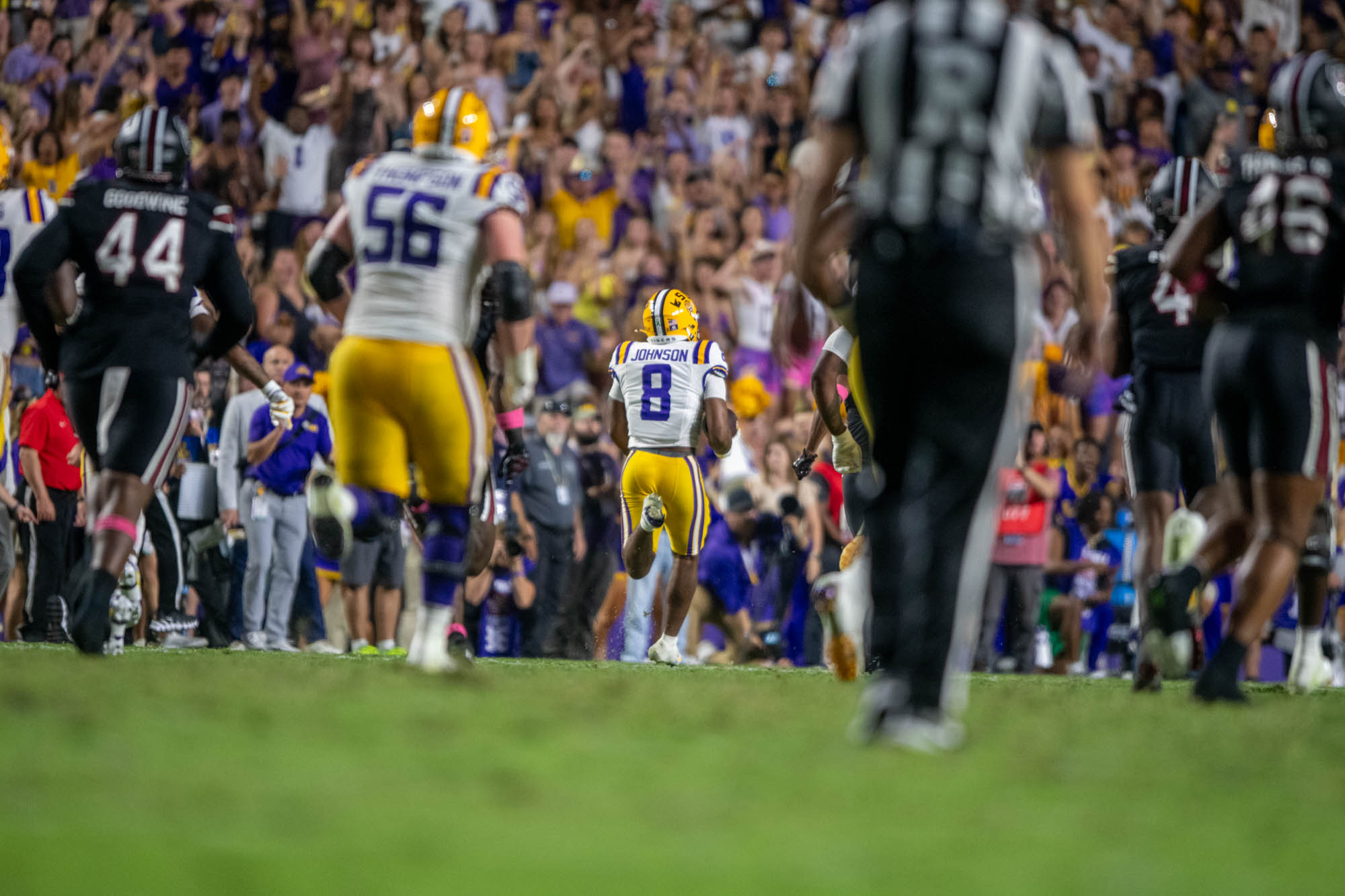 PHOTOS: LSU defeats South Carolina in Homecoming game