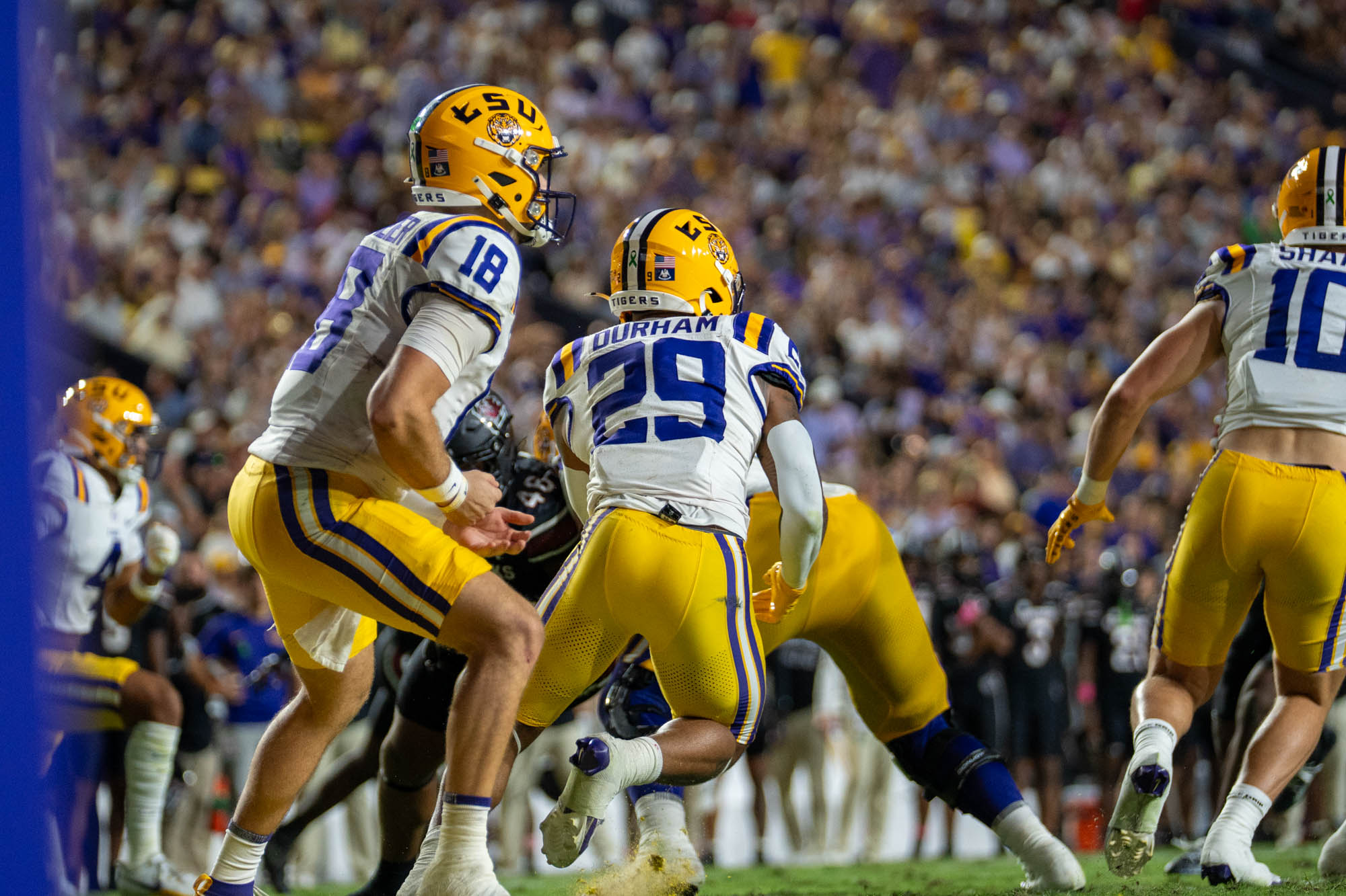 PHOTOS: LSU defeats South Carolina in Homecoming game