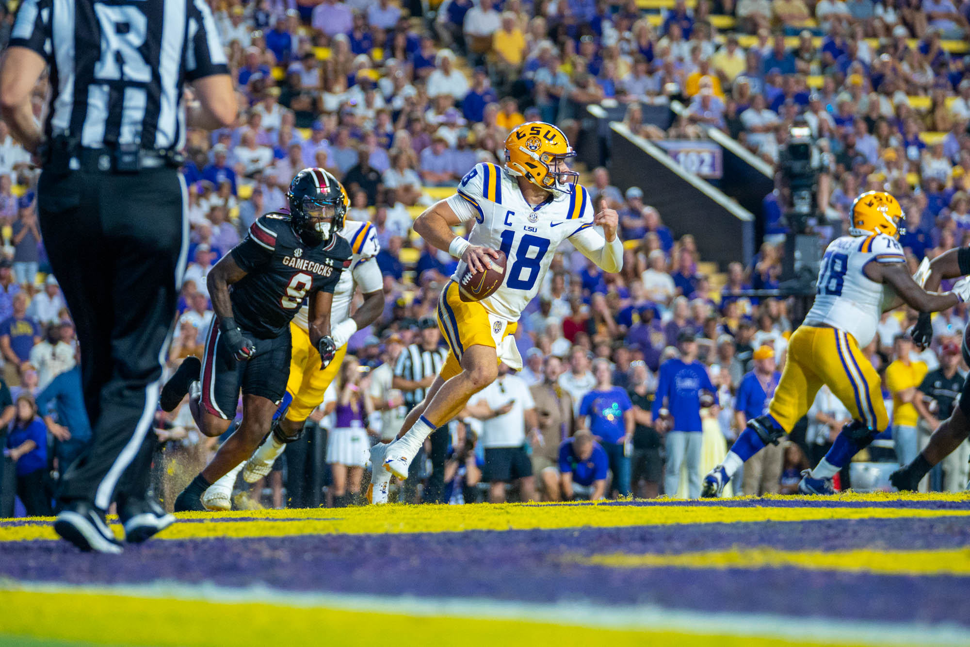 PHOTOS: LSU defeats South Carolina in Homecoming game