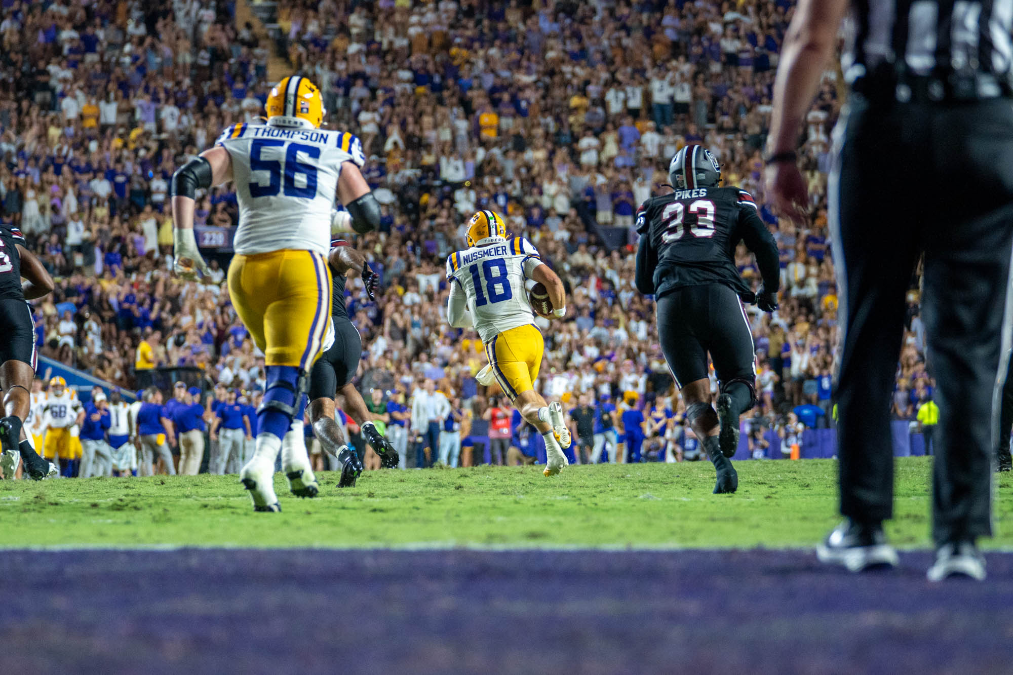 PHOTOS: LSU defeats South Carolina in Homecoming game