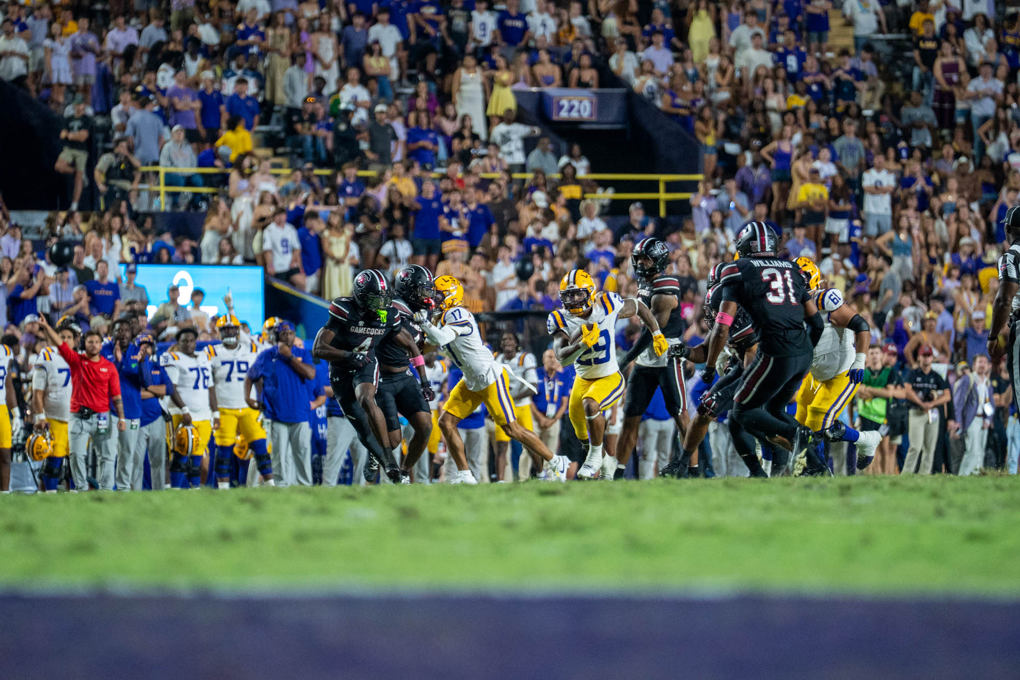 PHOTOS: LSU defeats South Carolina in Homecoming game