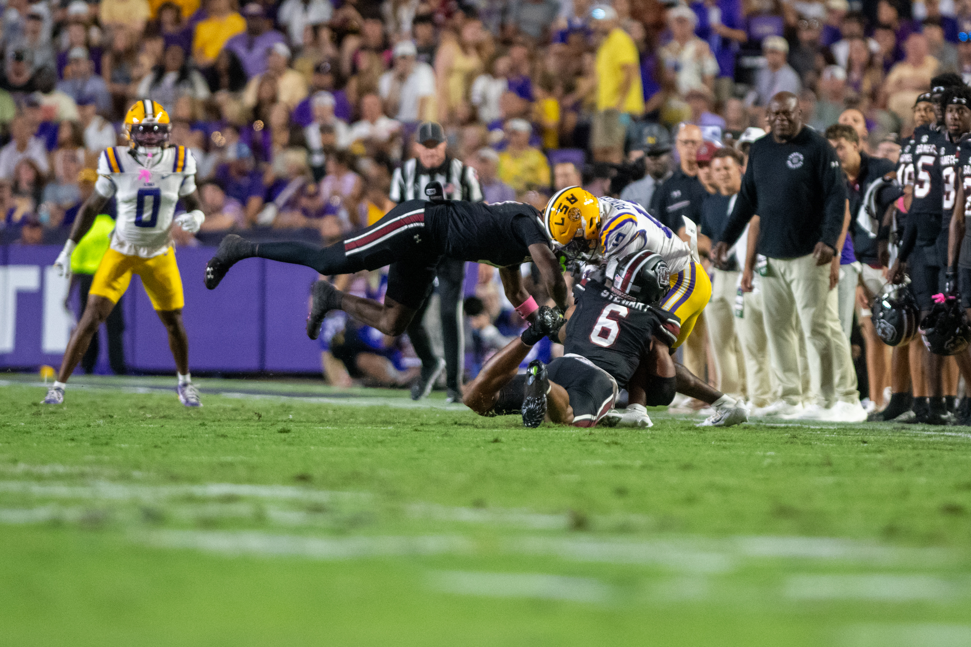 PHOTOS: LSU defeats South Carolina in Homecoming game