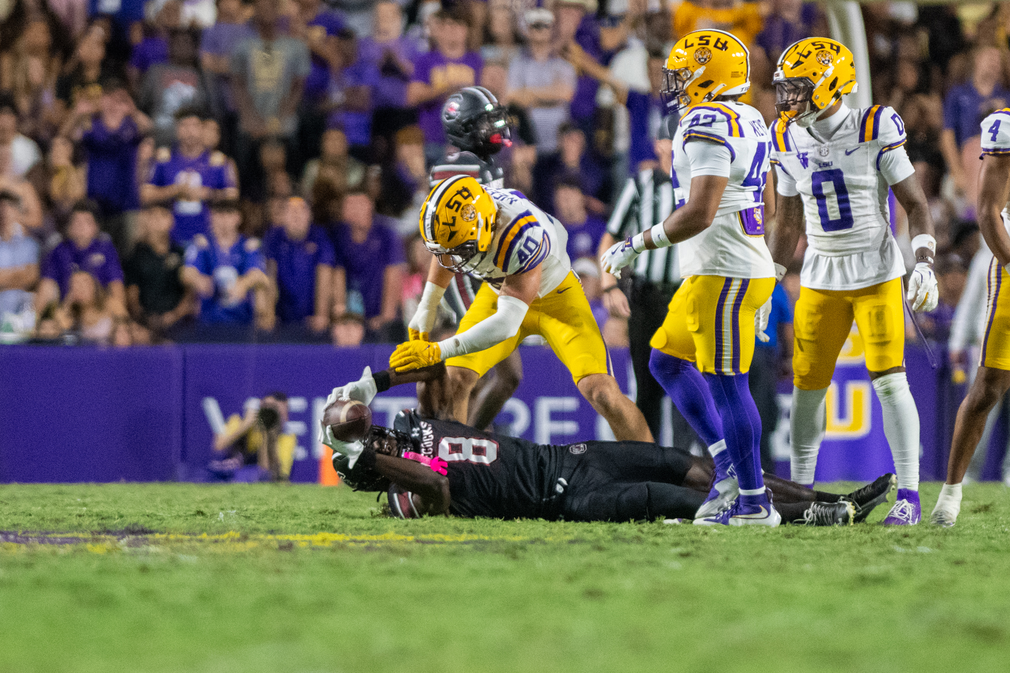 PHOTOS: LSU defeats South Carolina in Homecoming game