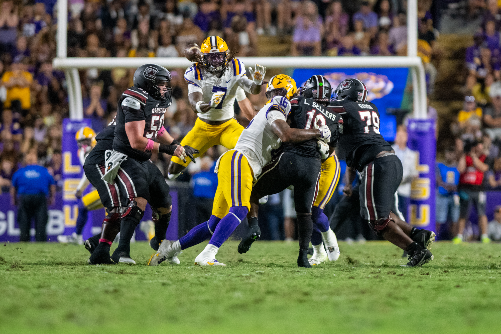 PHOTOS: LSU defeats South Carolina in Homecoming game