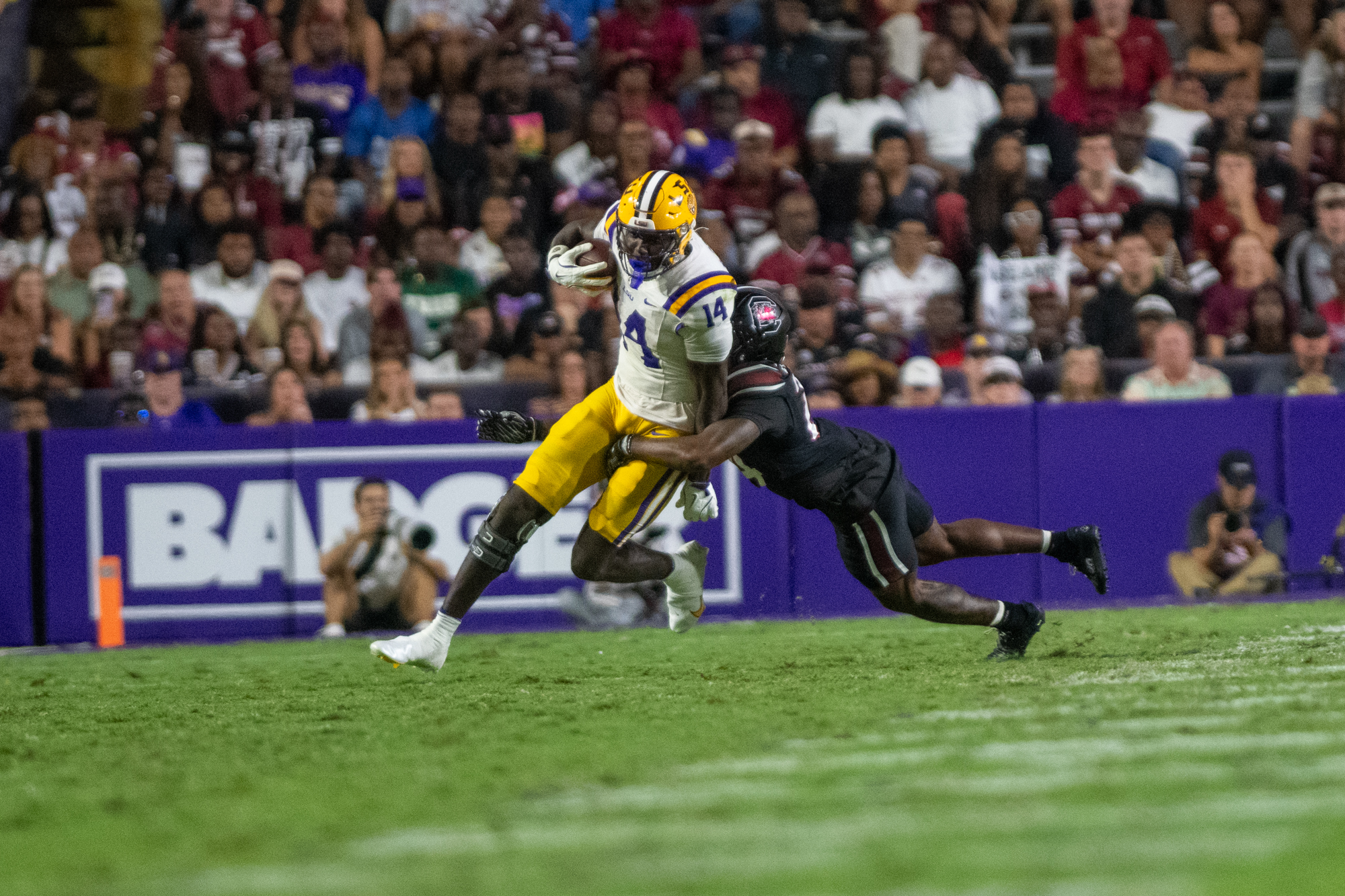 PHOTOS: LSU defeats South Carolina in Homecoming game