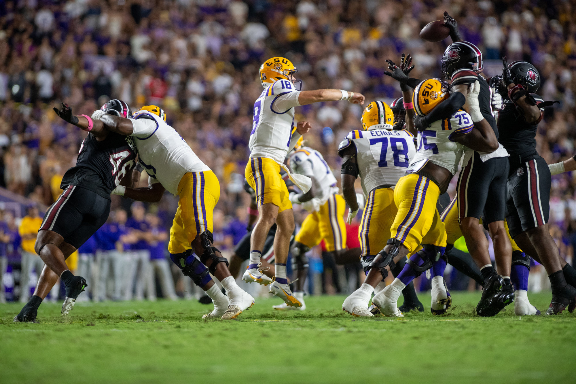 PHOTOS: LSU defeats South Carolina in Homecoming game