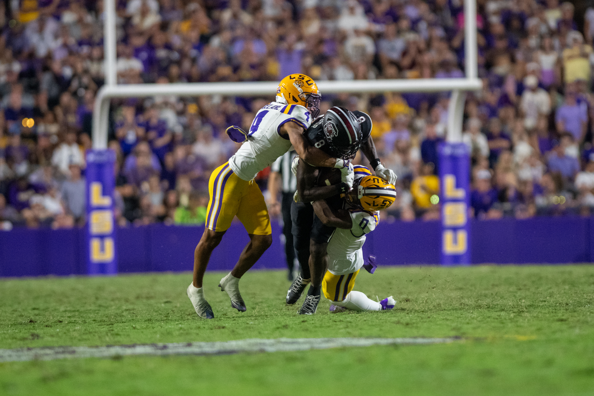 PHOTOS: LSU defeats South Carolina in Homecoming game