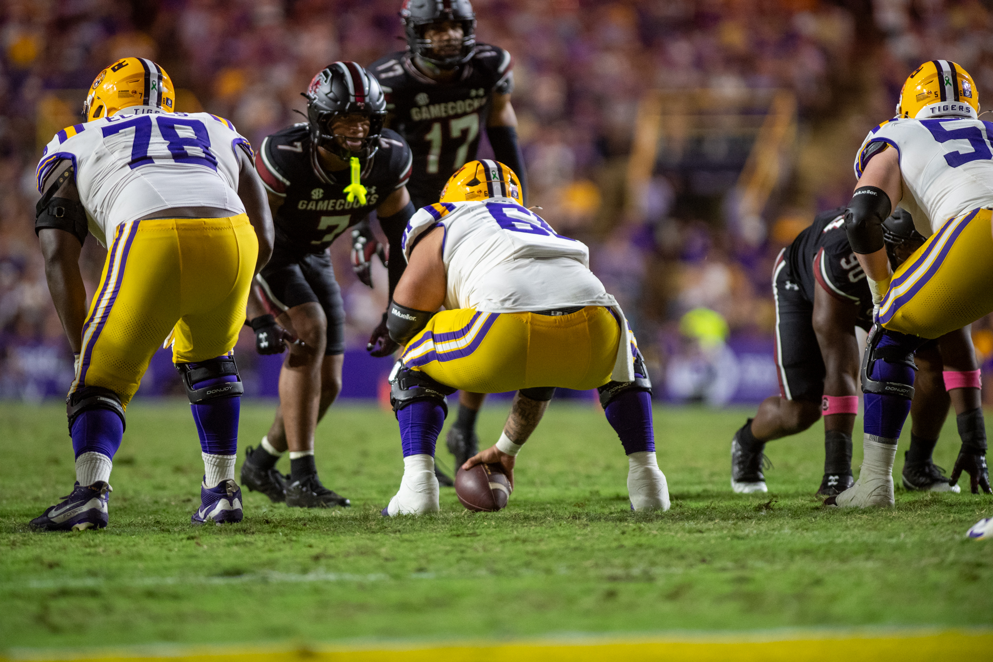 PHOTOS: LSU defeats South Carolina in Homecoming game