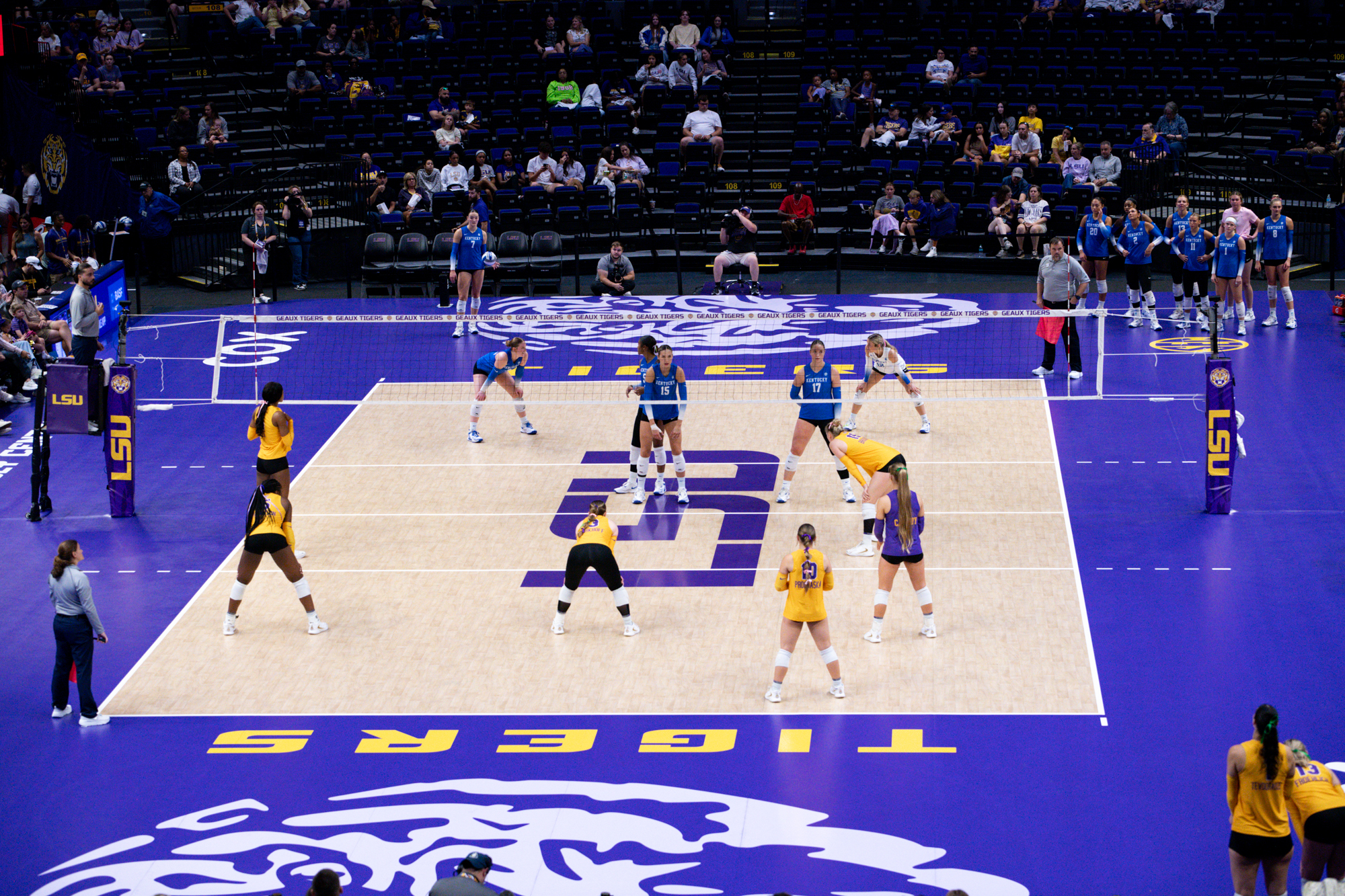 PHOTOS: LSU volleyball defeated by Kentucky