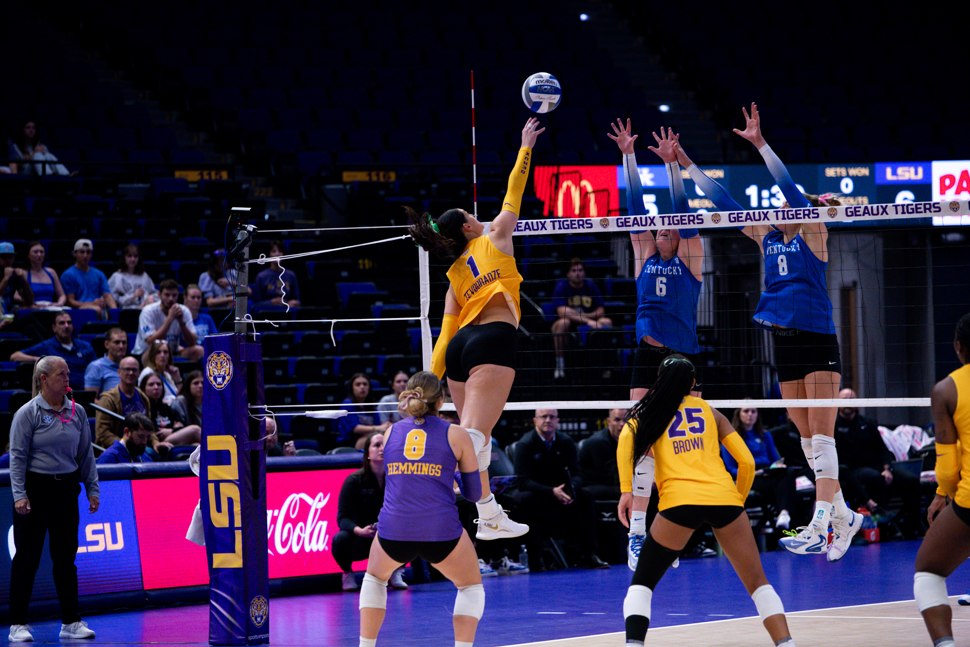 PHOTOS: LSU volleyball defeated by Kentucky
