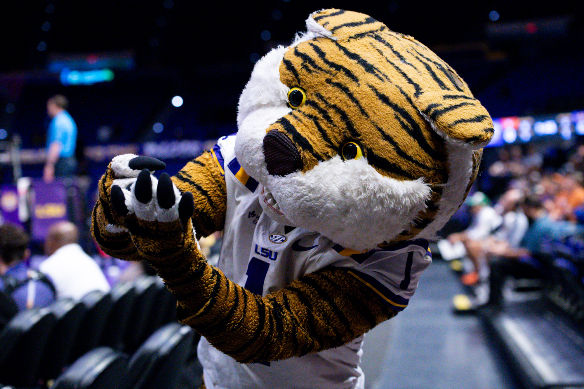 PHOTOS: LSU volleyball loses to No. 2 Texas