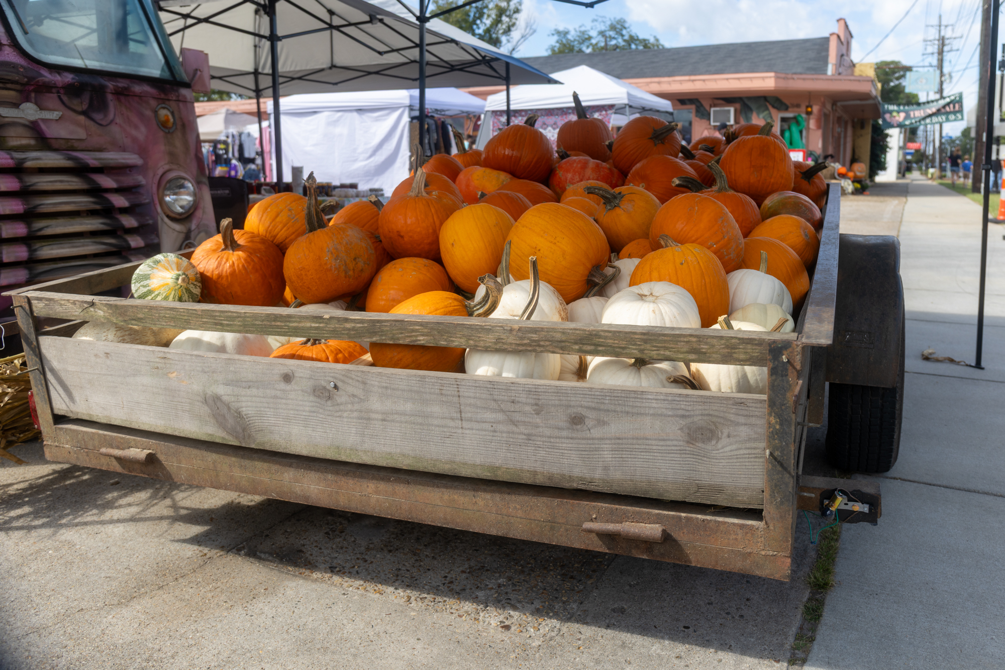 PHOTOS: The Pink Elephant Trunk Sale