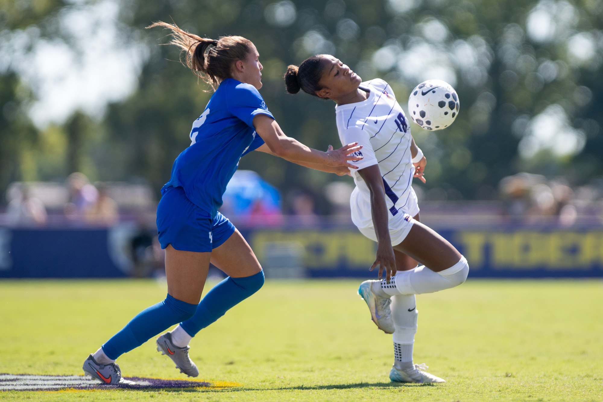 PHOTOS: LSU soccer ties with Kentucky