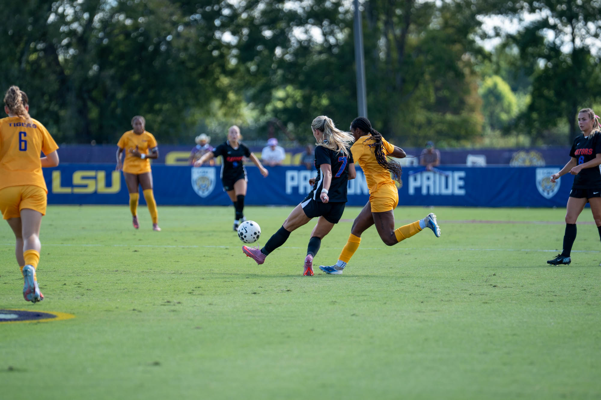 PHOTOS: LSU soccer defeats Florida at home