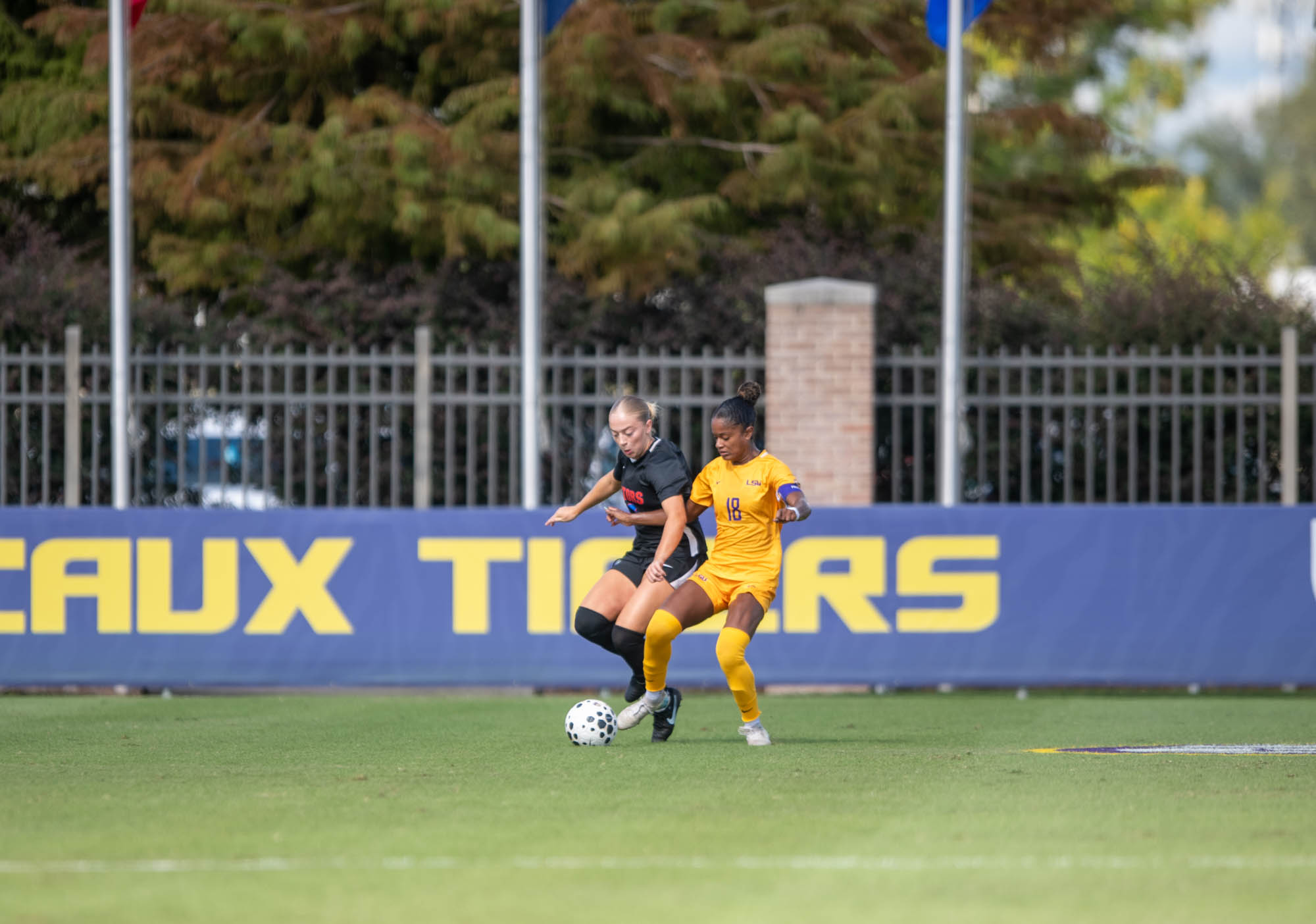 PHOTOS: LSU soccer defeats Florida at home