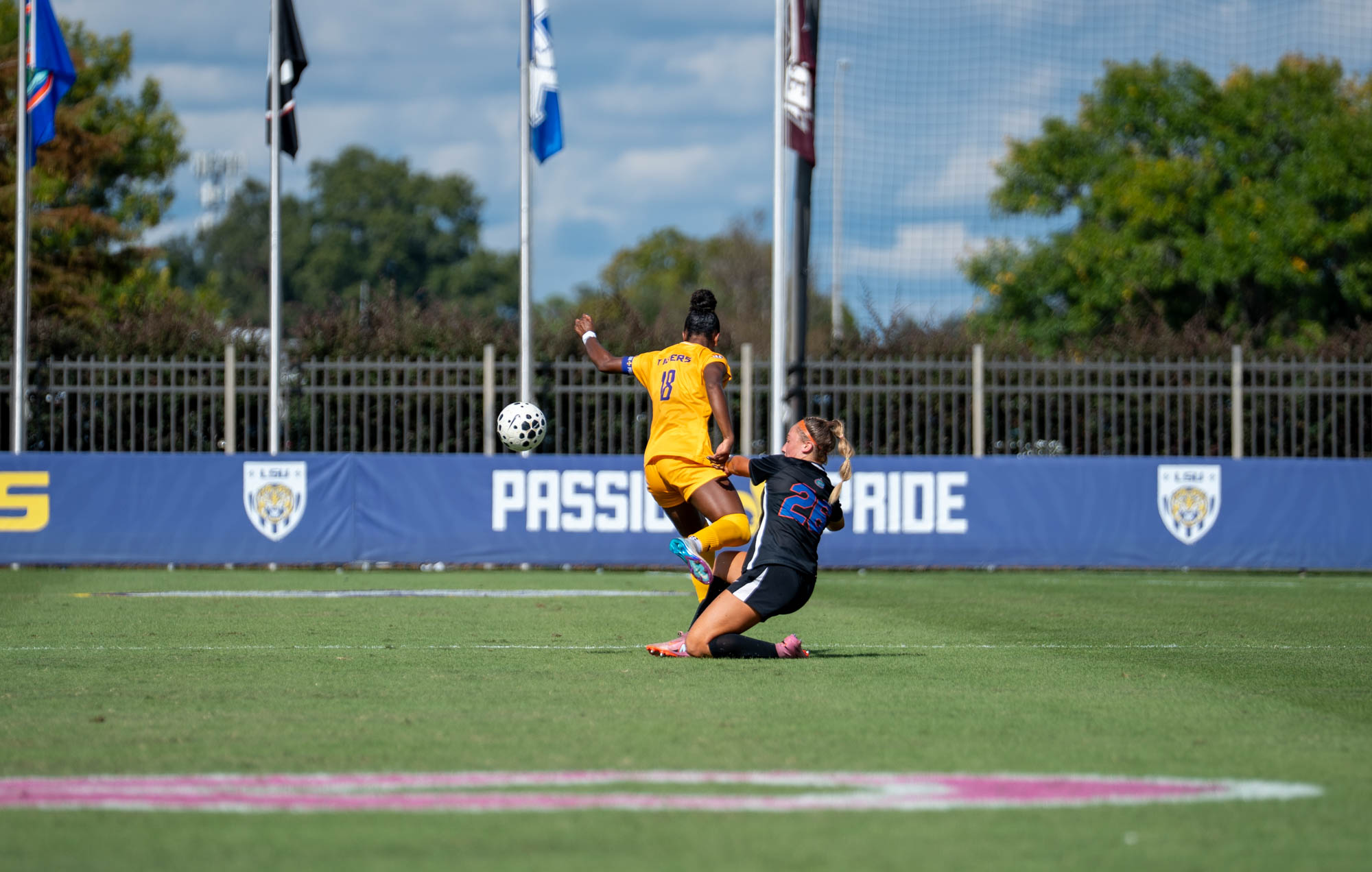 PHOTOS: LSU soccer defeats Florida at home