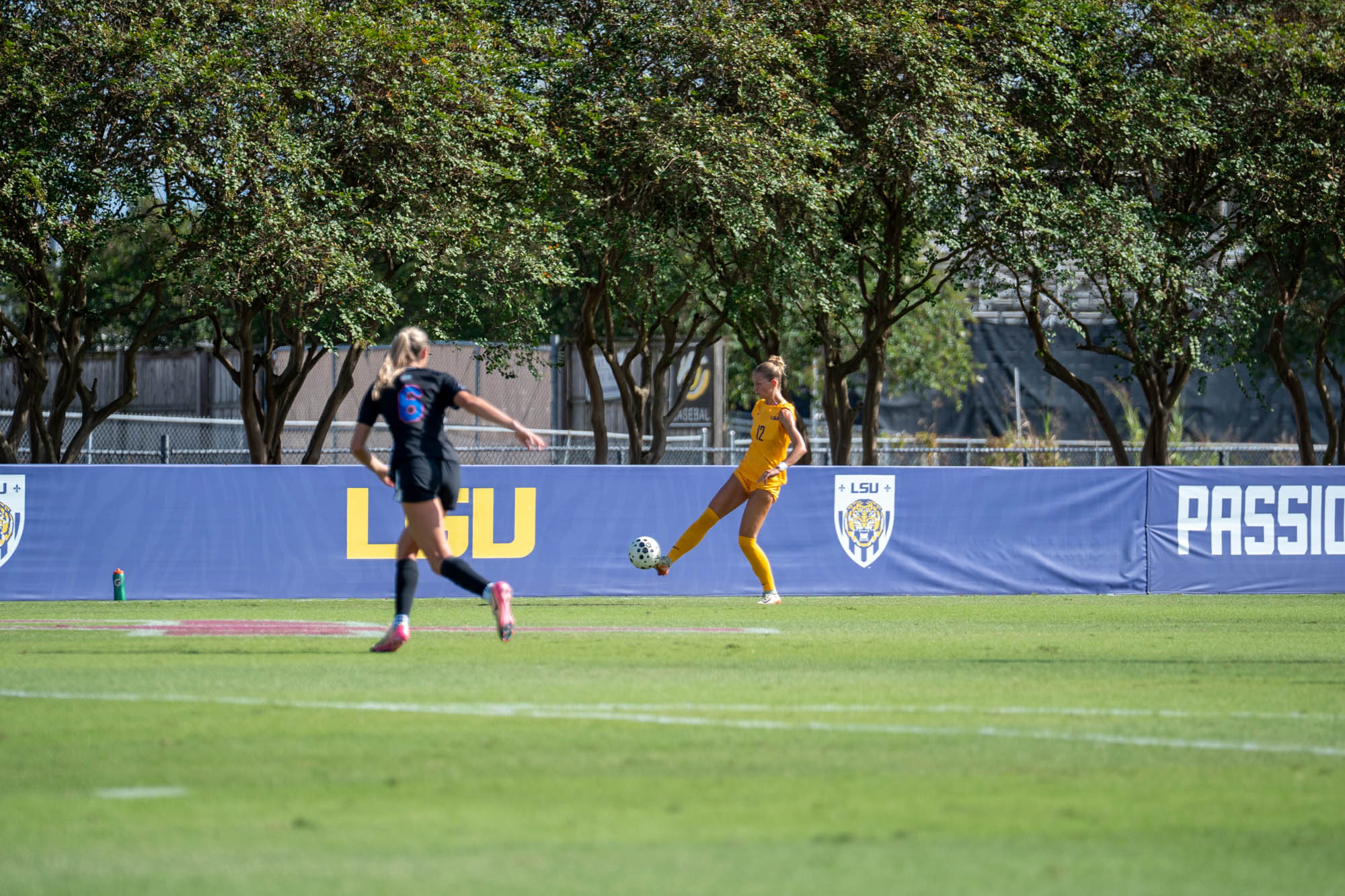 PHOTOS: LSU soccer defeats Florida at home