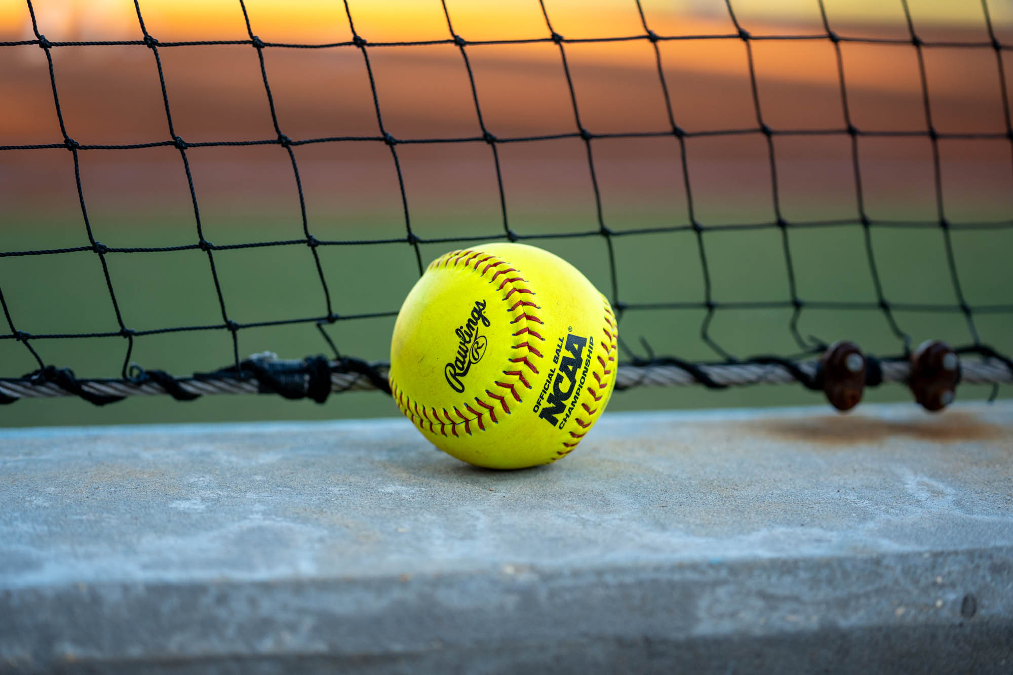 PHOTOS: LSU softball hosts exhibition game against Northwest Florida State