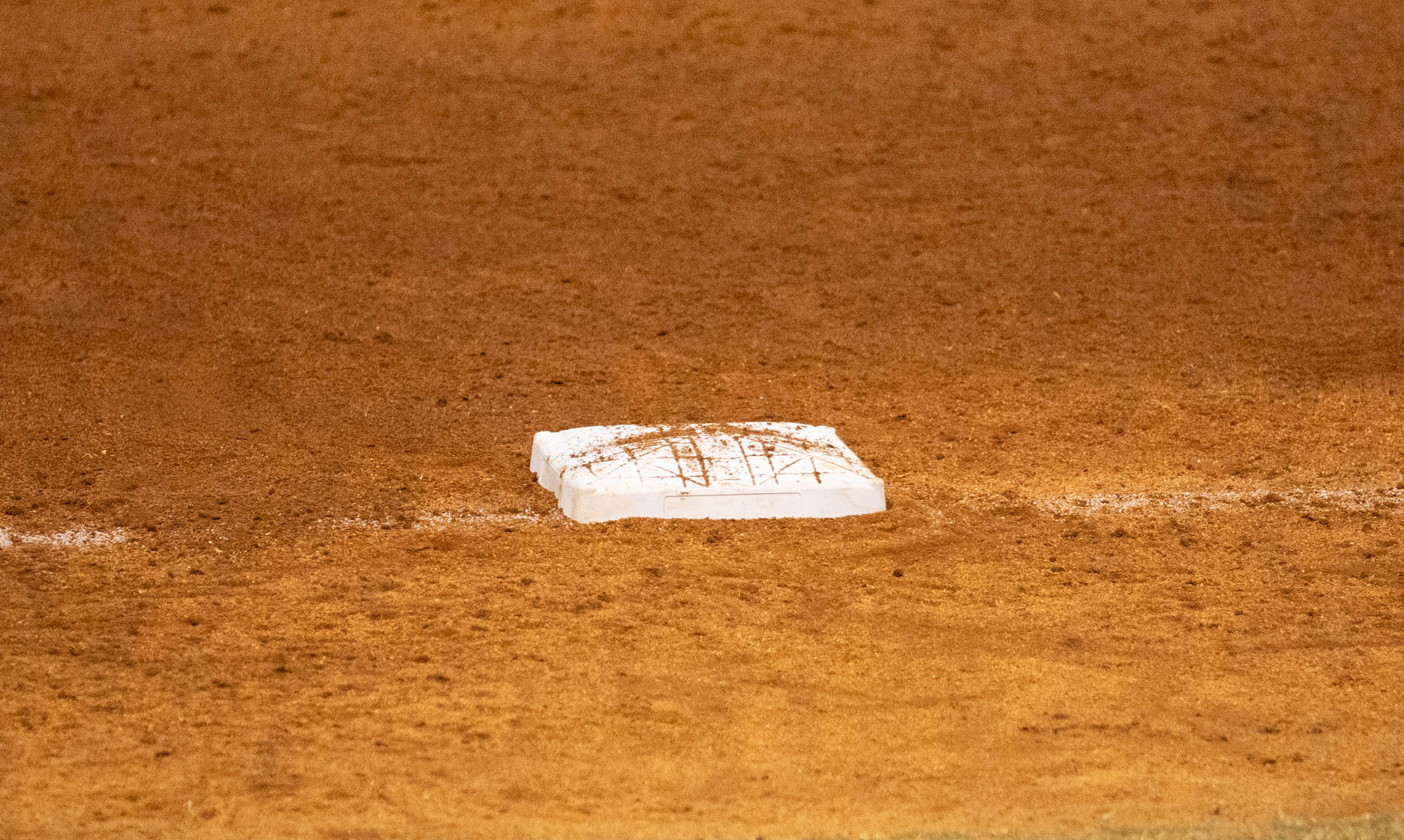 PHOTOS: LSU softball dominates Co-Lin CC