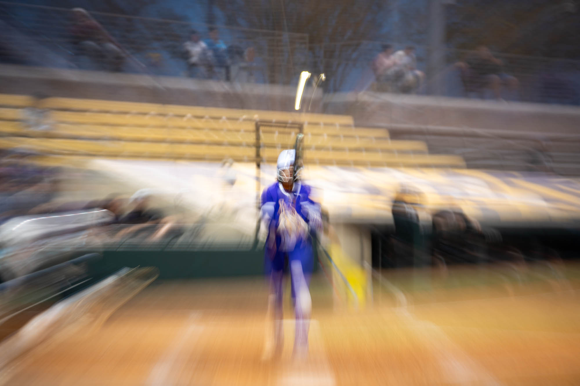 PHOTOS: LSU sports in motion