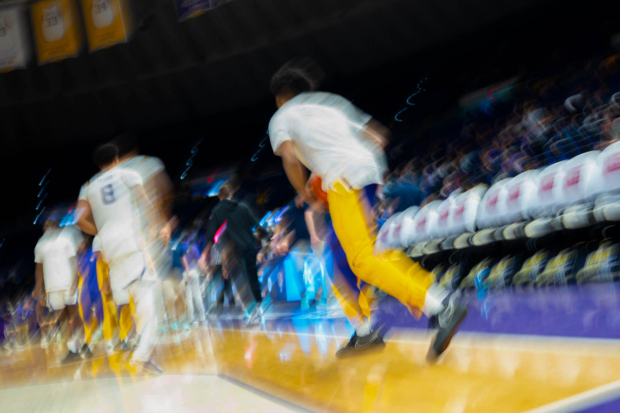 PHOTOS: LSU sports in motion