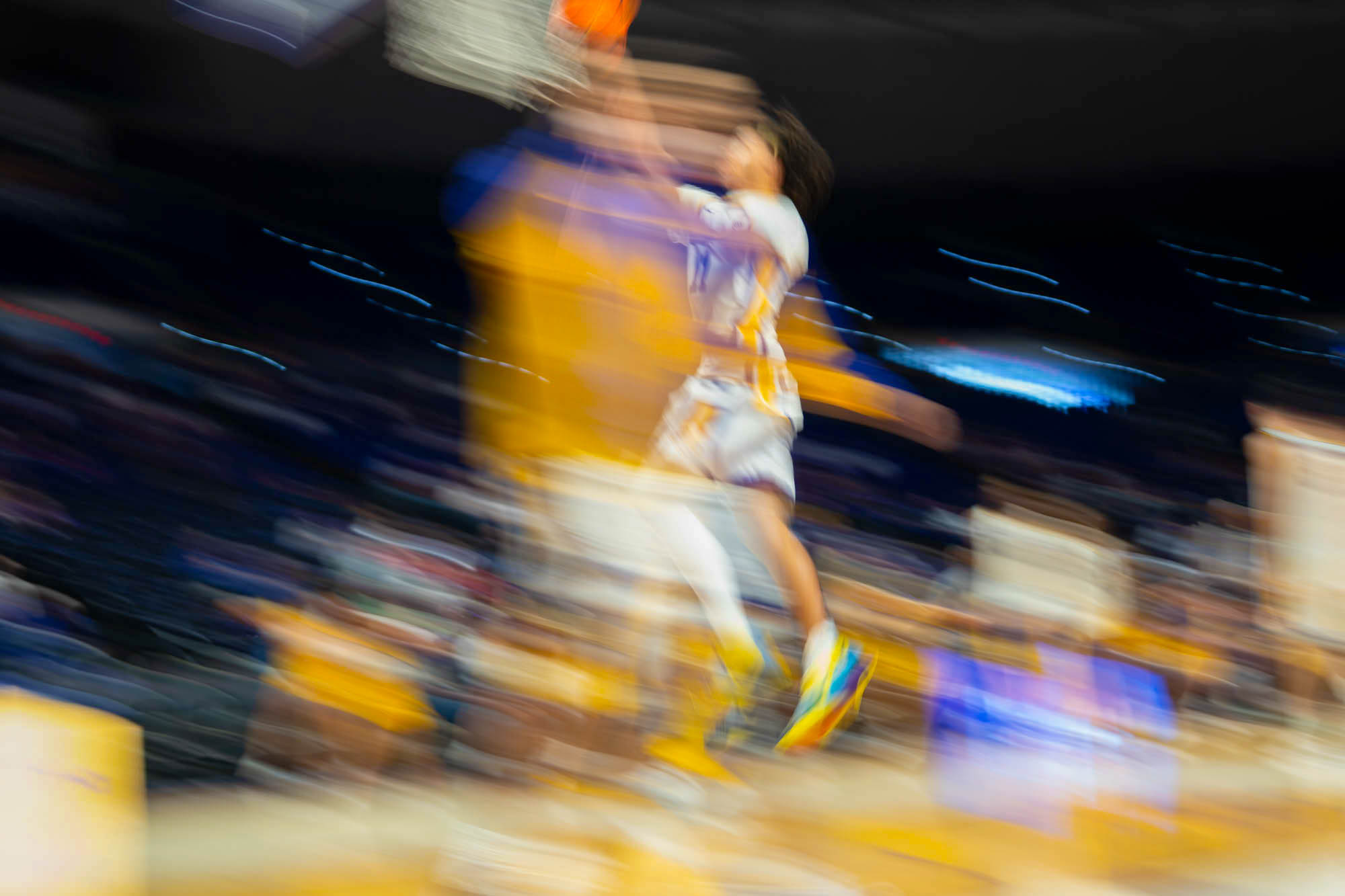 PHOTOS: LSU sports in motion