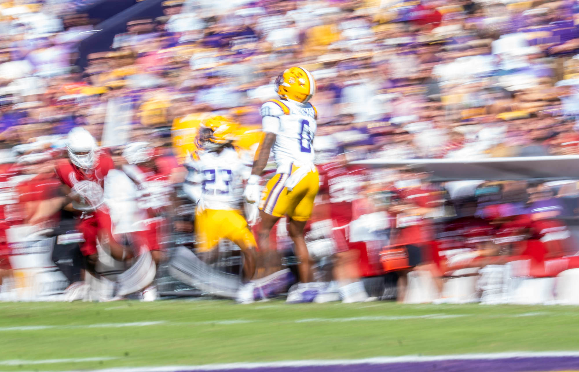 PHOTOS: LSU sports in motion
