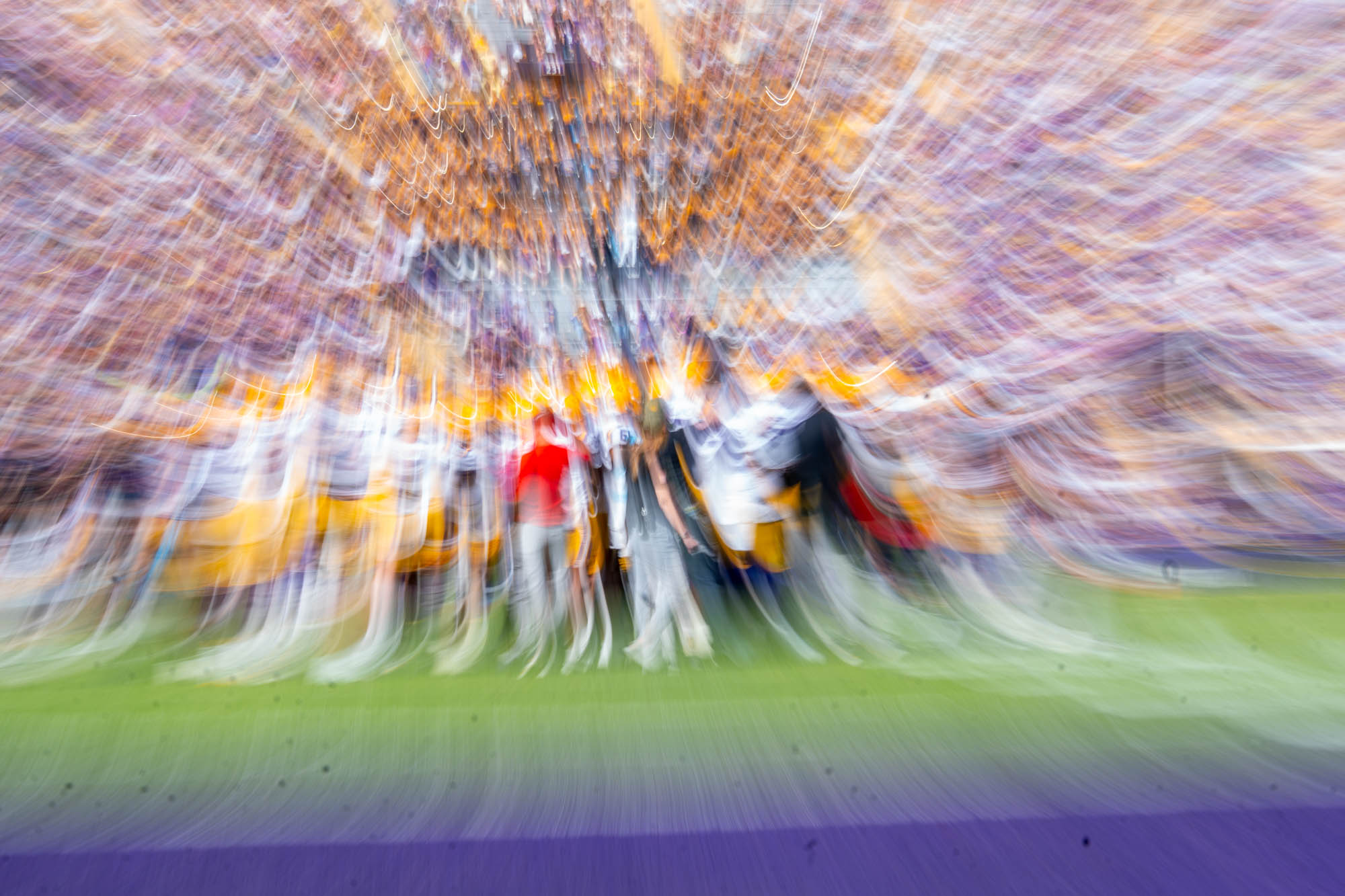 PHOTOS: LSU sports in motion