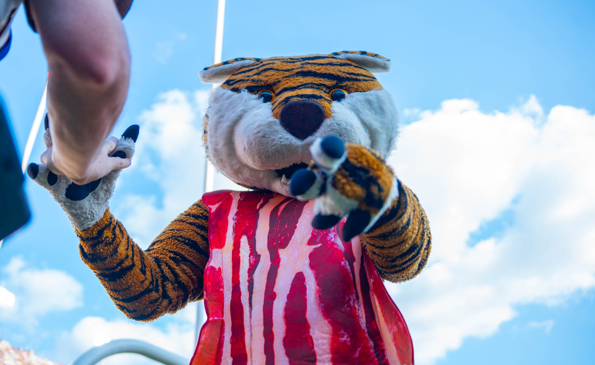 PHOTOS: LSU football narrowly defeats Arkansas in the Battle of the Boot