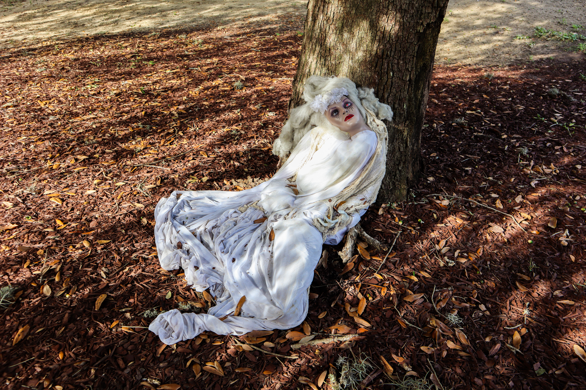 PHOTOS: Halloween weekend on LSU campus