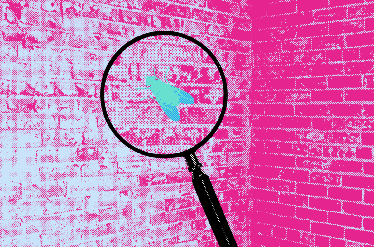 Opinion: Lessons from being a fly on the wall — we’ve forgotten decorum