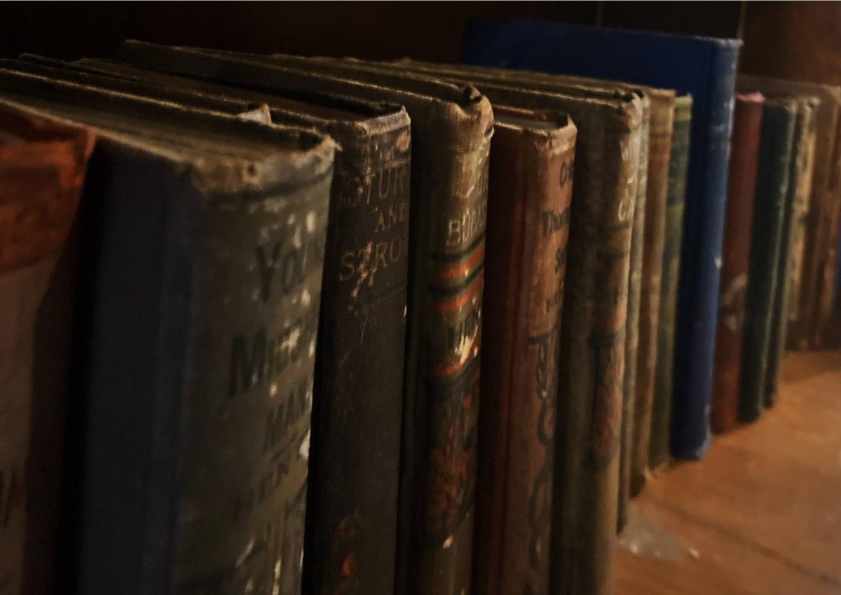 Unearth gothic mysteries and chilling adventures with these cold weather literature picks