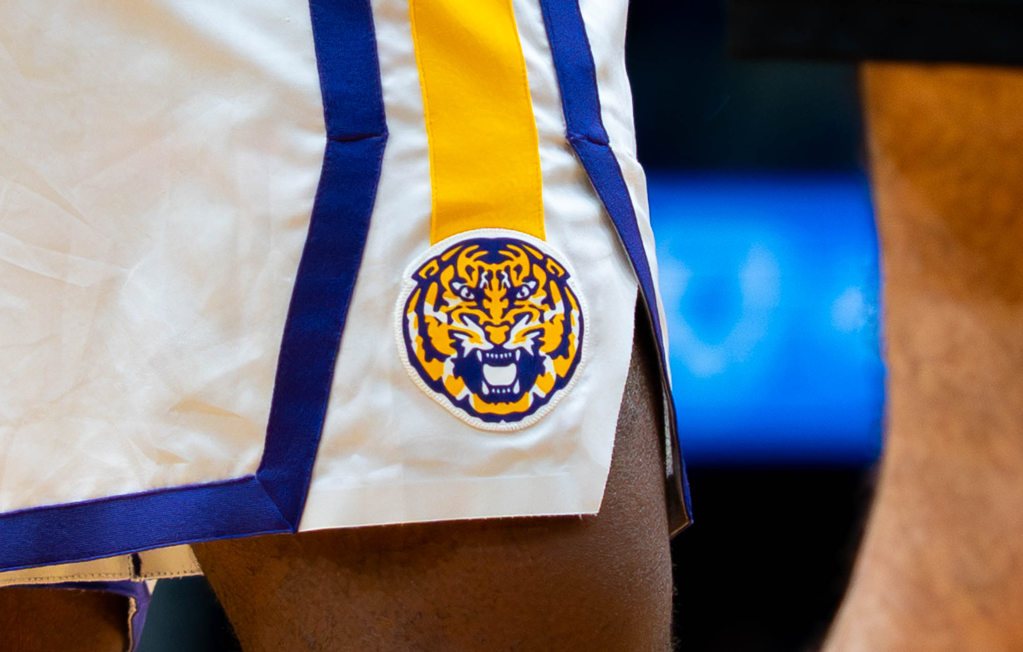 PHOTOS: LSU men's basketball defeats SMU on the road in New Orleans