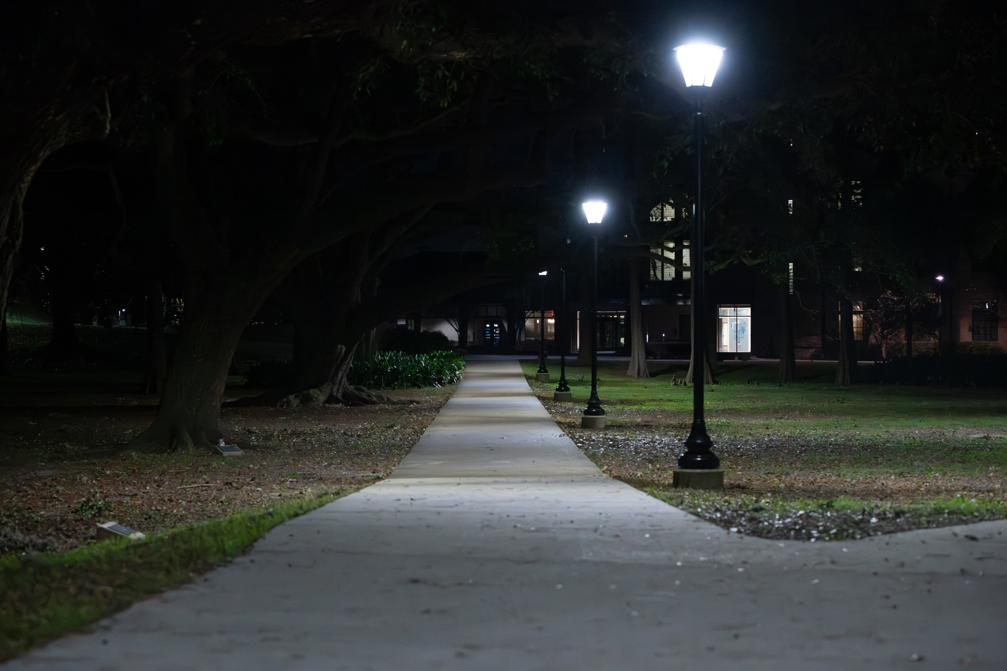What does LSU's campus look like at night? See photos