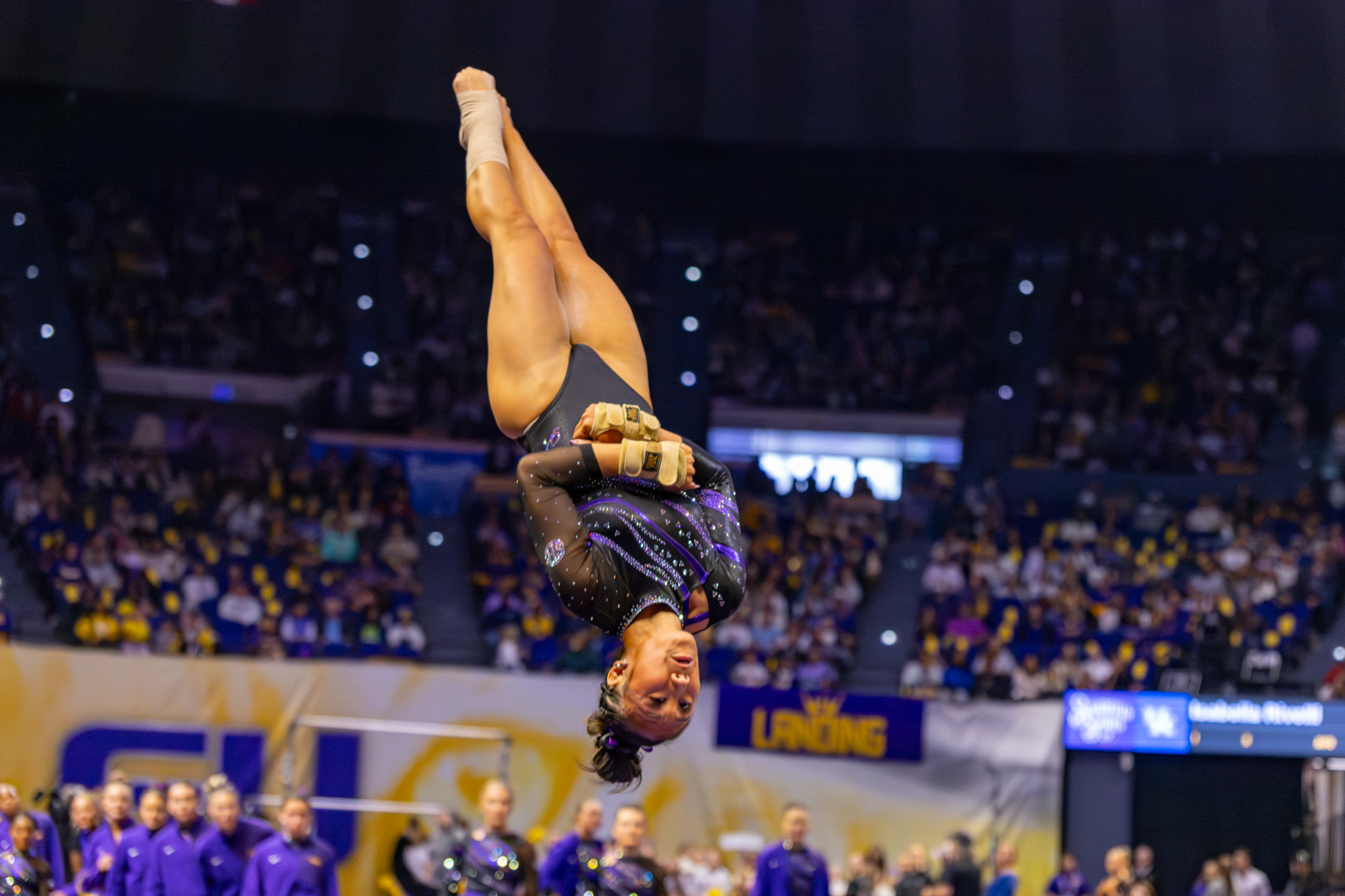 PHOTOS: LSU gymnastics crushes Kentucky