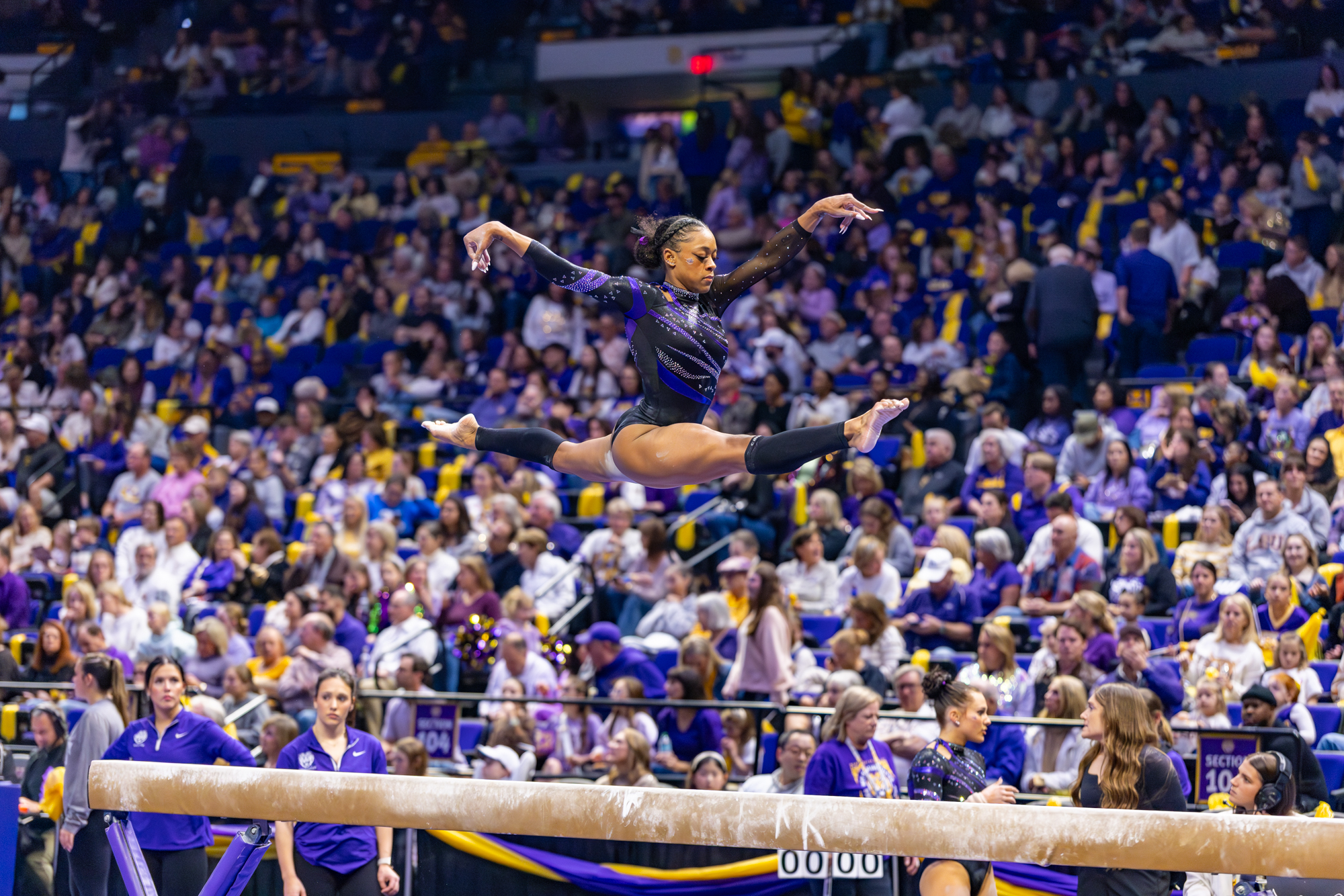 PHOTOS: LSU gymnastics crushes Kentucky