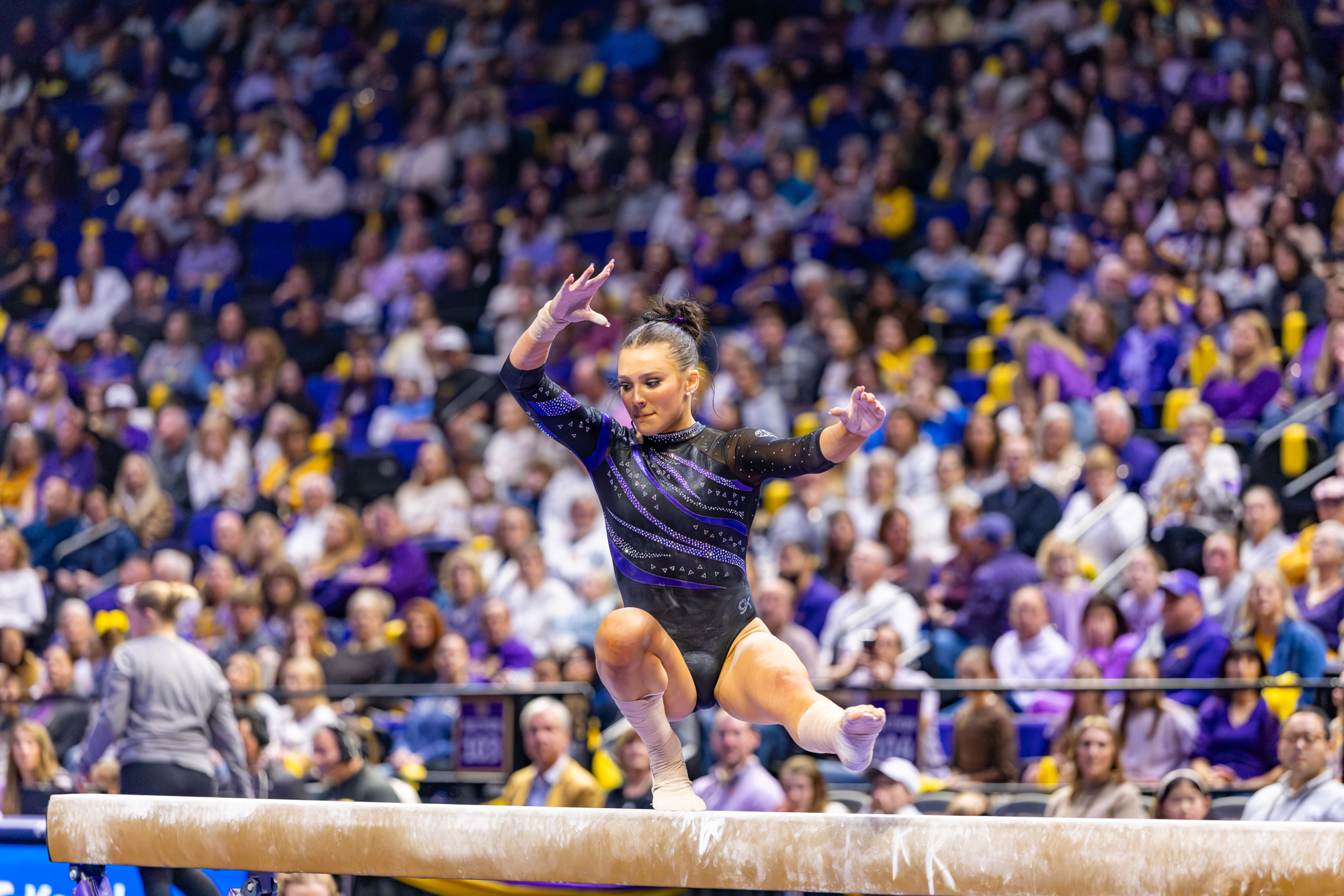 PHOTOS: LSU gymnastics crushes Kentucky