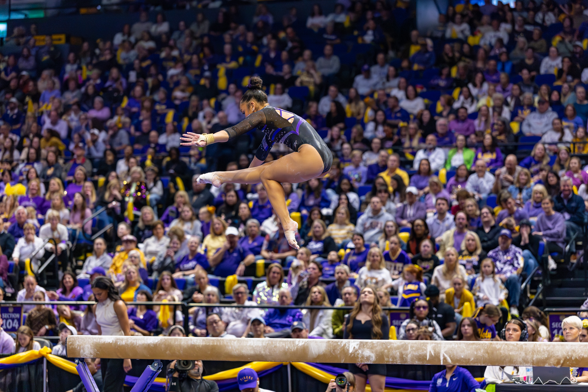 PHOTOS: LSU gymnastics crushes Kentucky