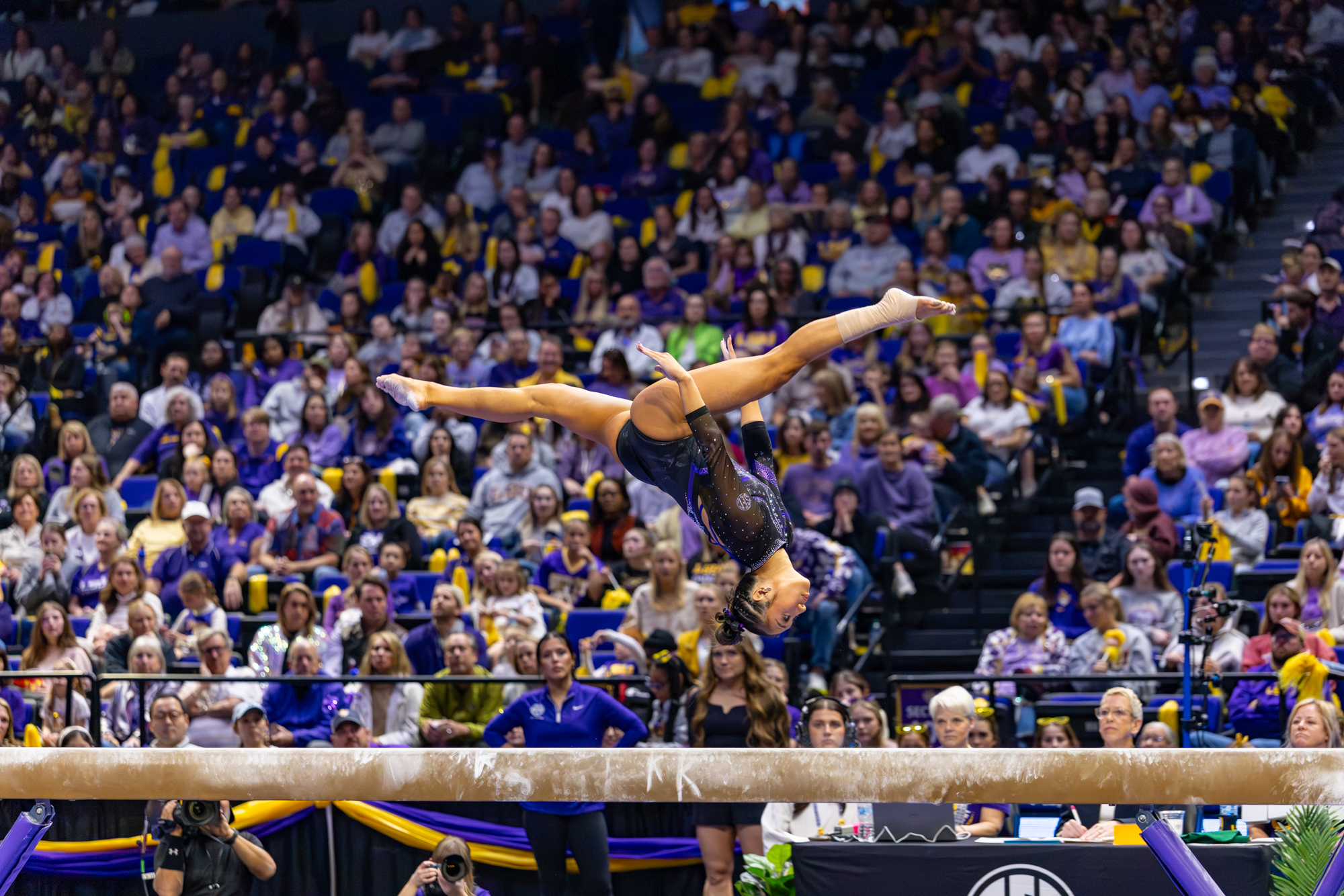 PHOTOS: LSU gymnastics crushes Kentucky