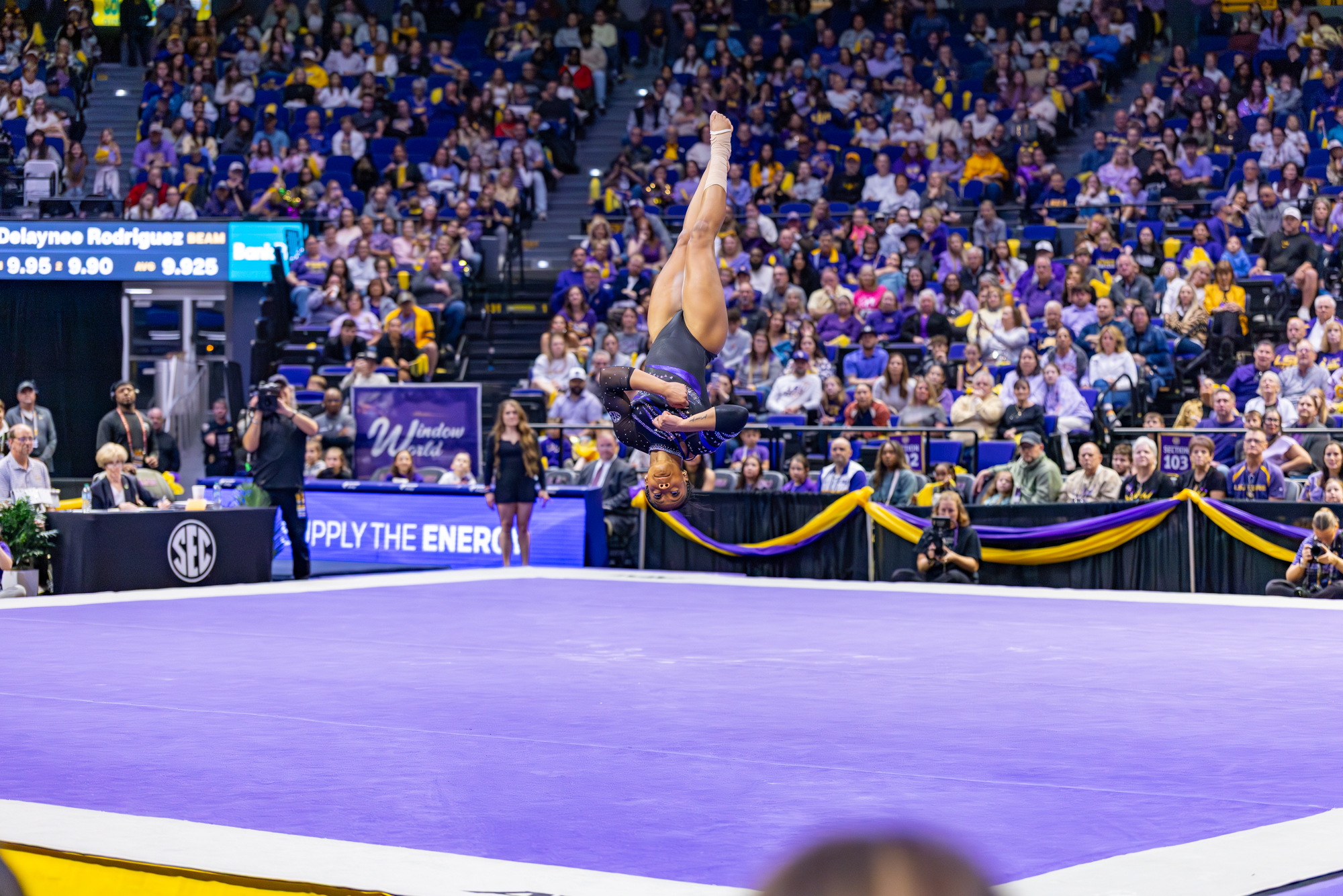 PHOTOS: LSU gymnastics crushes Kentucky
