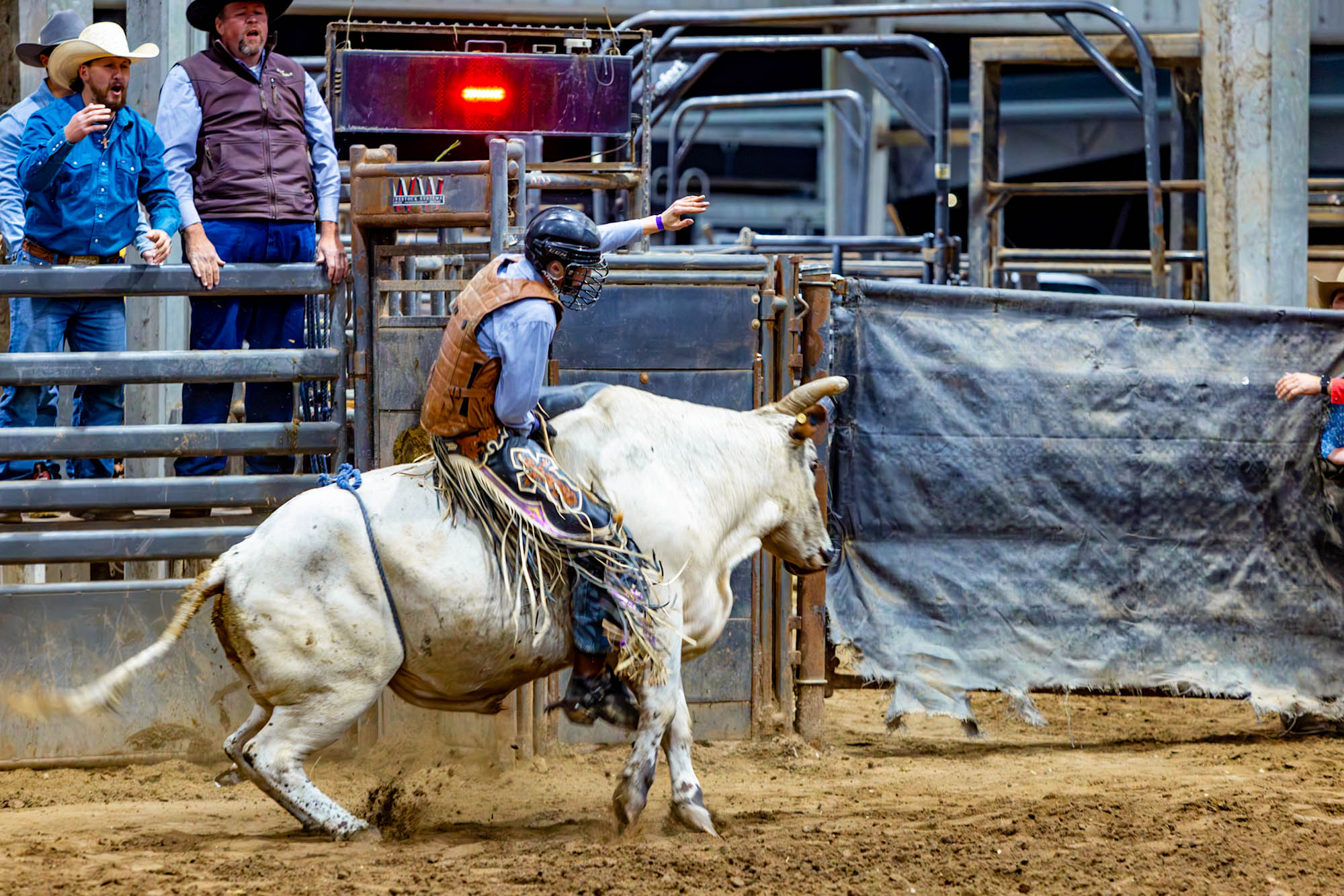 PHOTOS: LSU Block and Bridle hosts annual rodeo