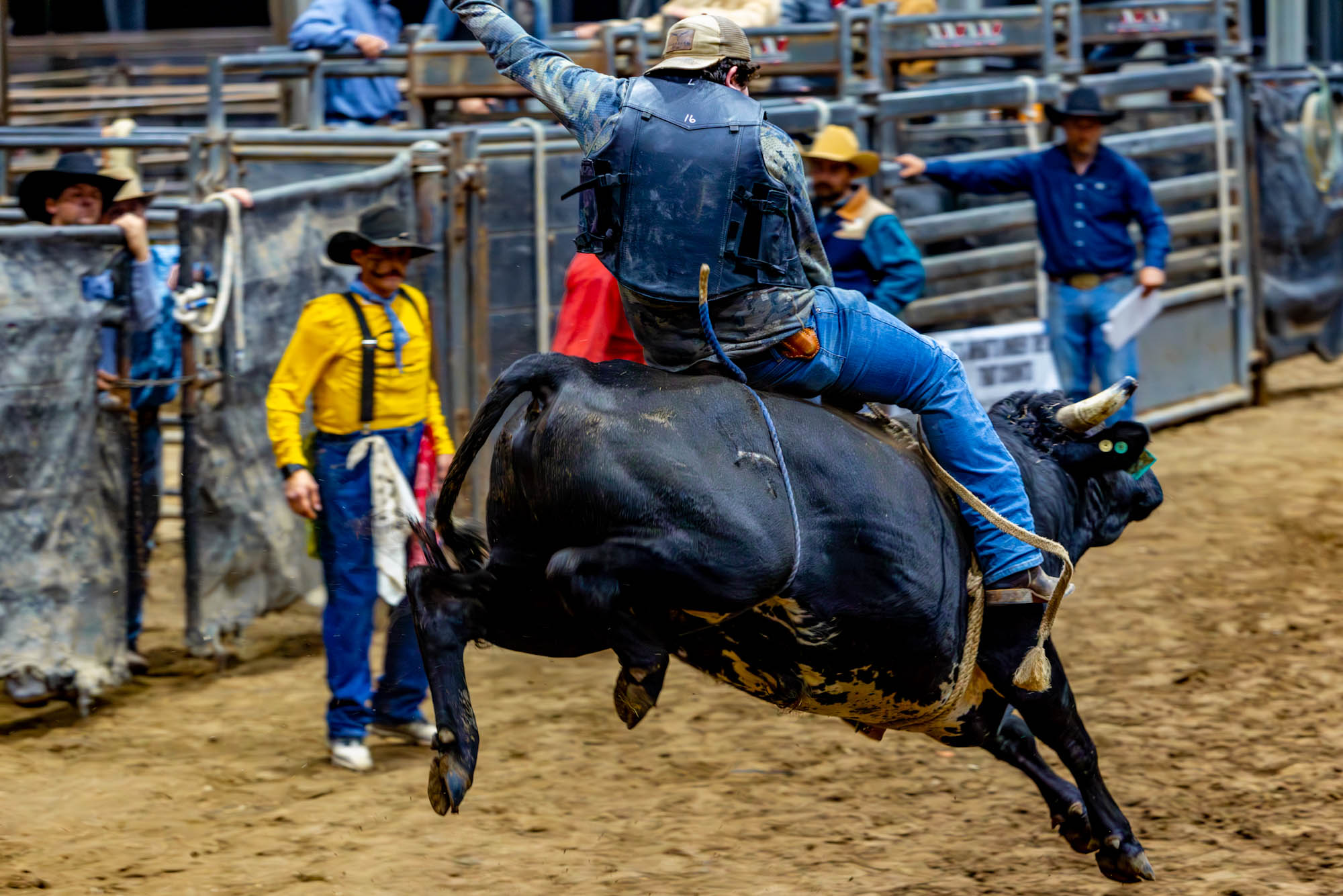 PHOTOS: LSU Block and Bridle hosts annual rodeo