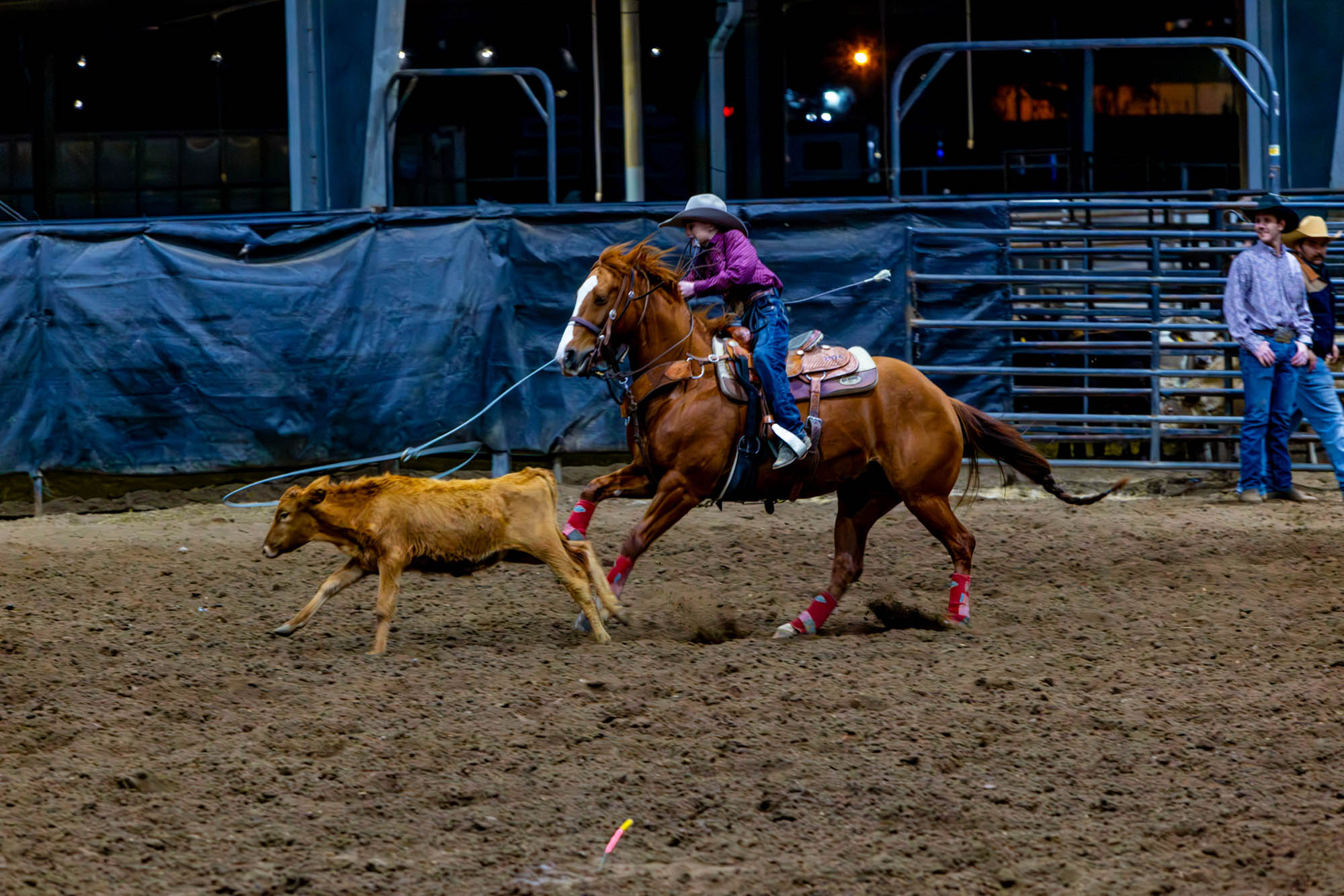 PHOTOS: LSU Block and Bridle hosts annual rodeo