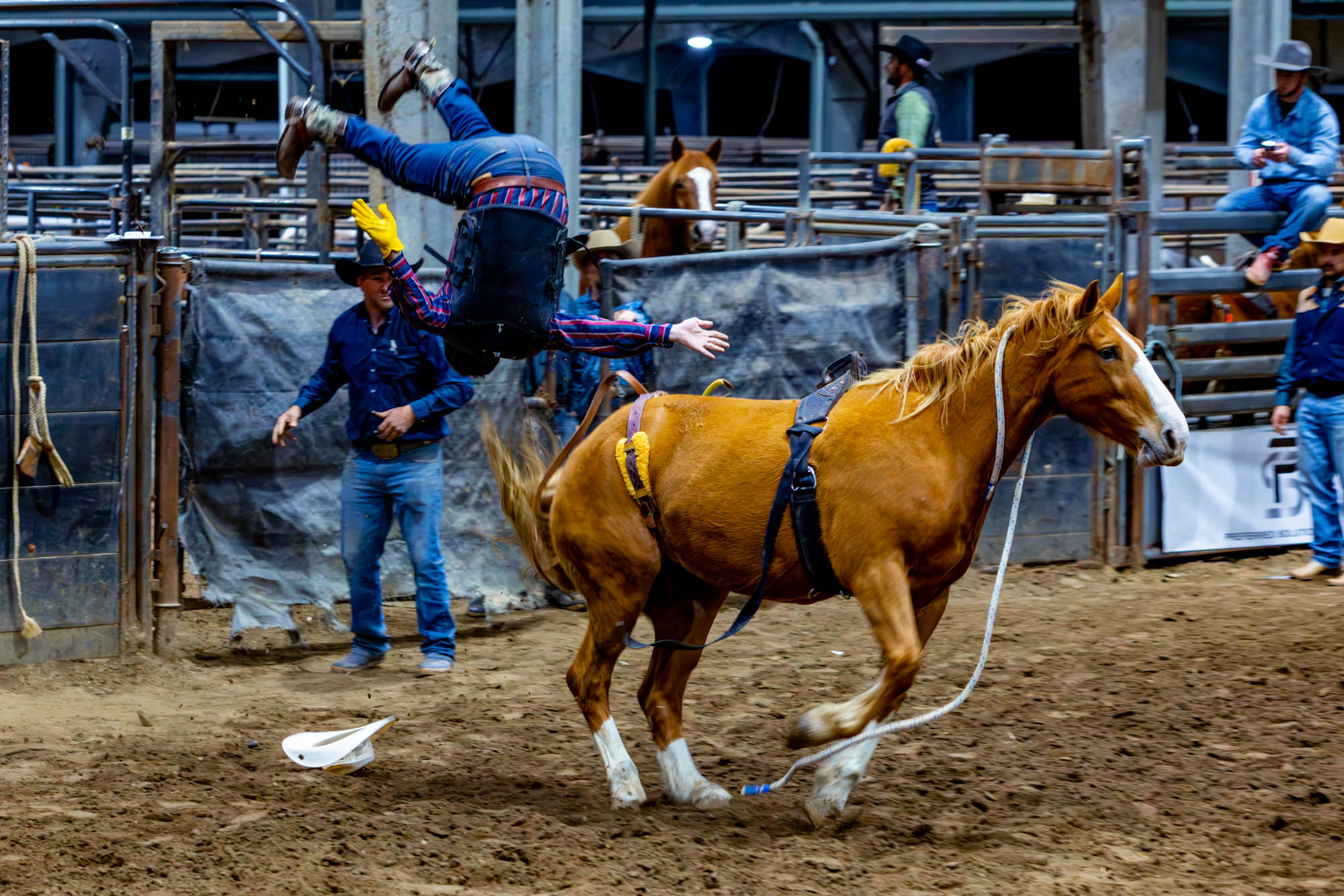 PHOTOS: LSU Block and Bridle hosts annual rodeo